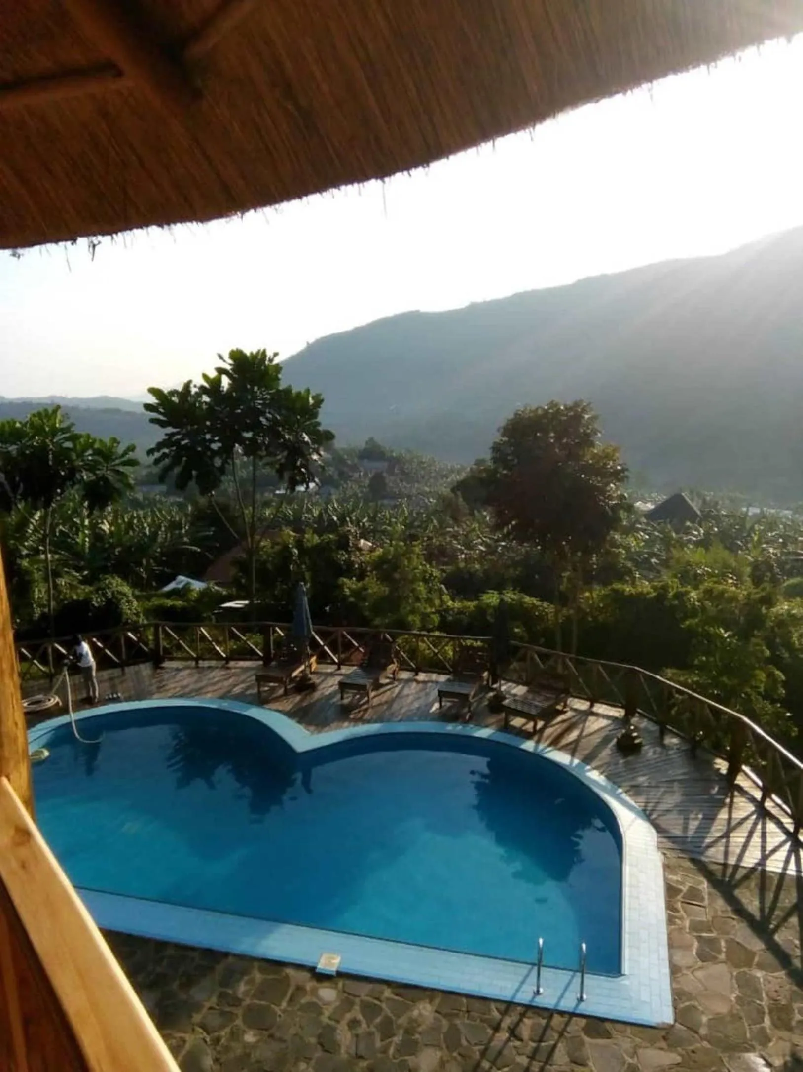 Pool view in Trackers Safari Lodge Bwindi