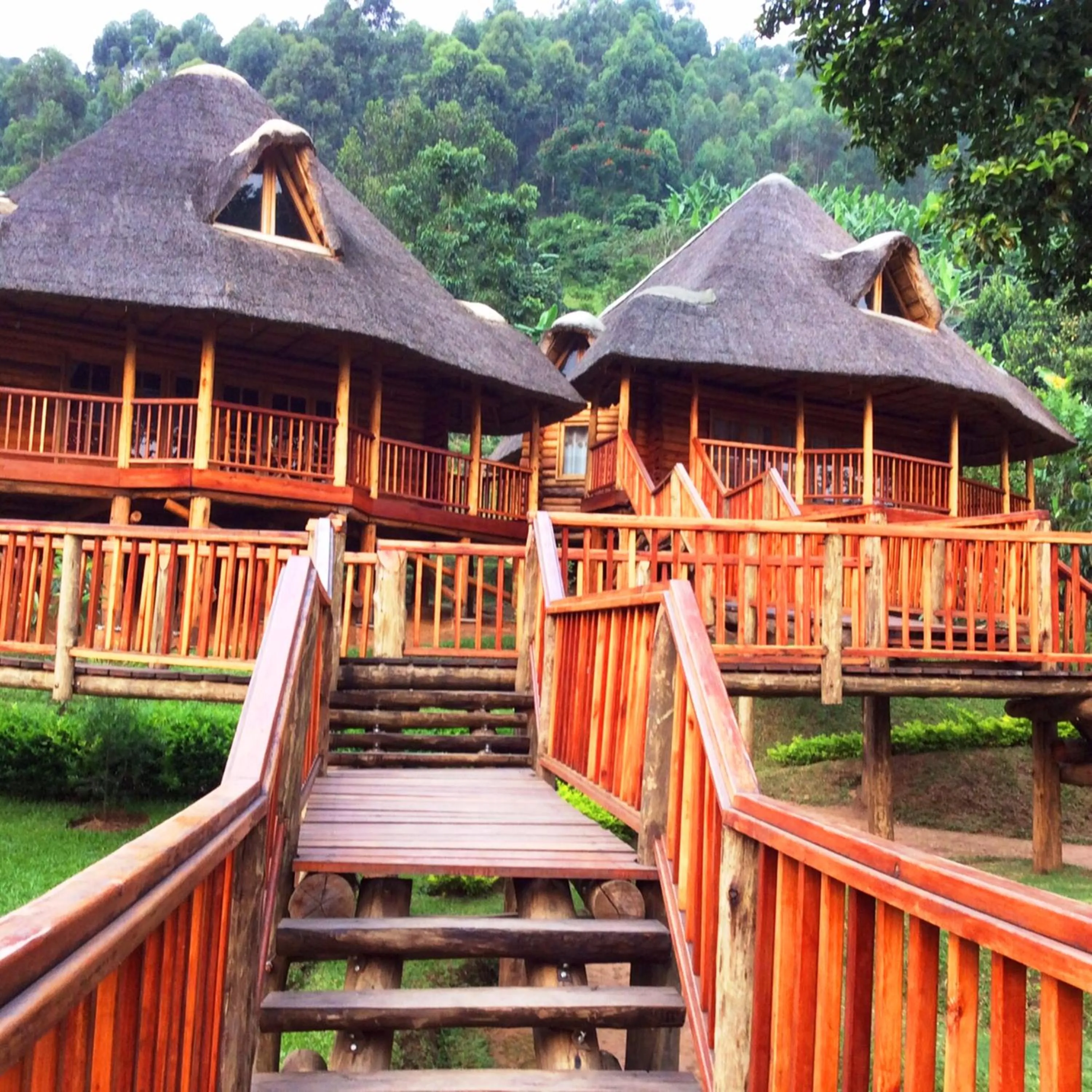 Property building in Trackers Safari Lodge Bwindi