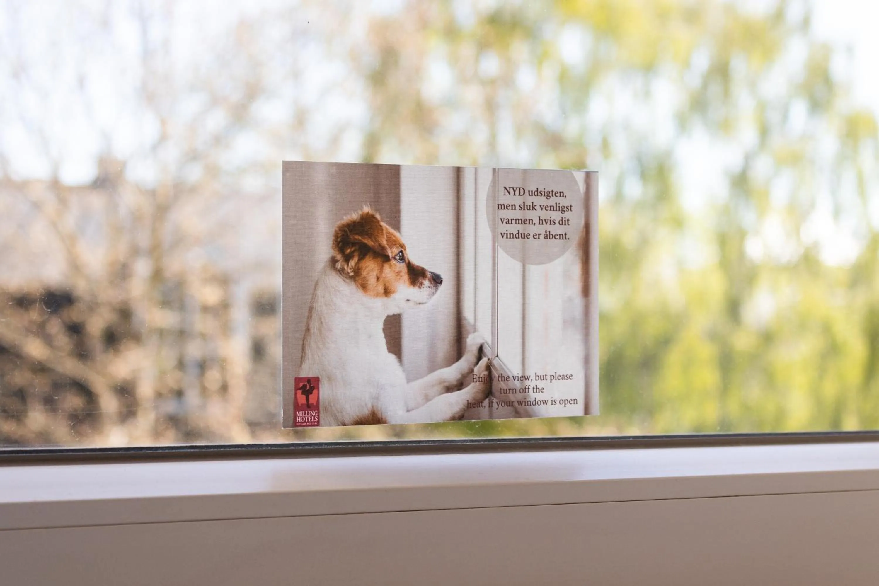 Text overlay in Milling Hotel Mini 11