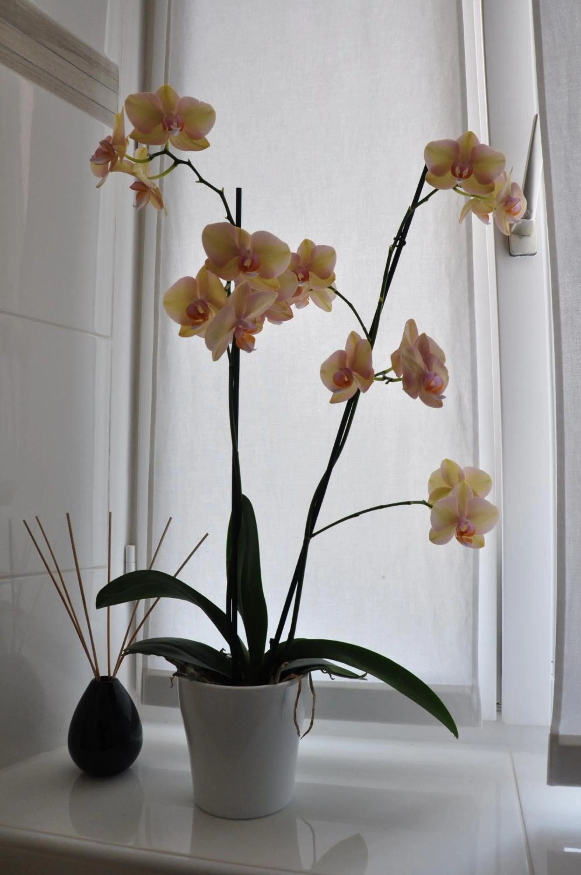 Bathroom in Annie's Bed & Breakfast