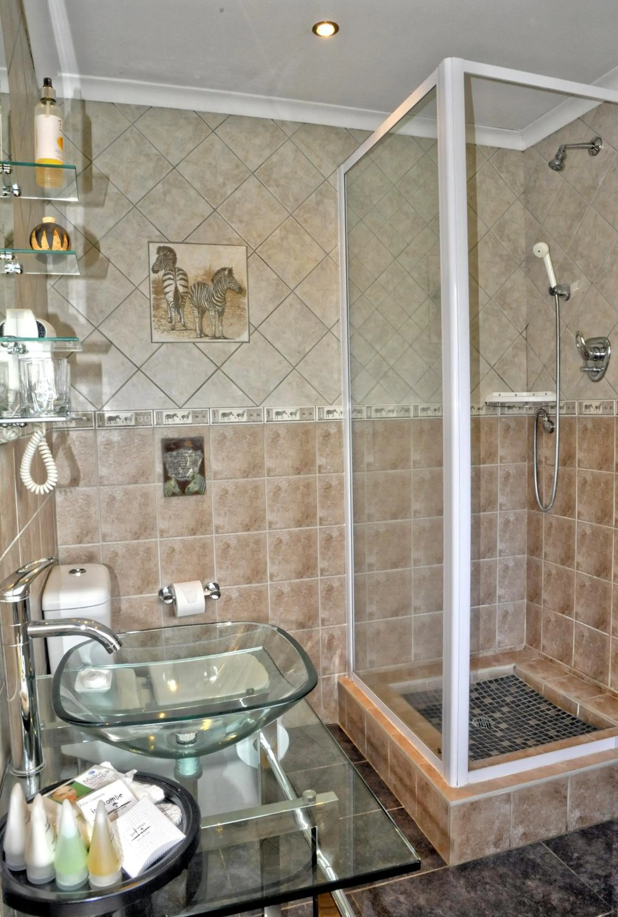 Shower in Ipe Tombe Guest Lodge - Midrand