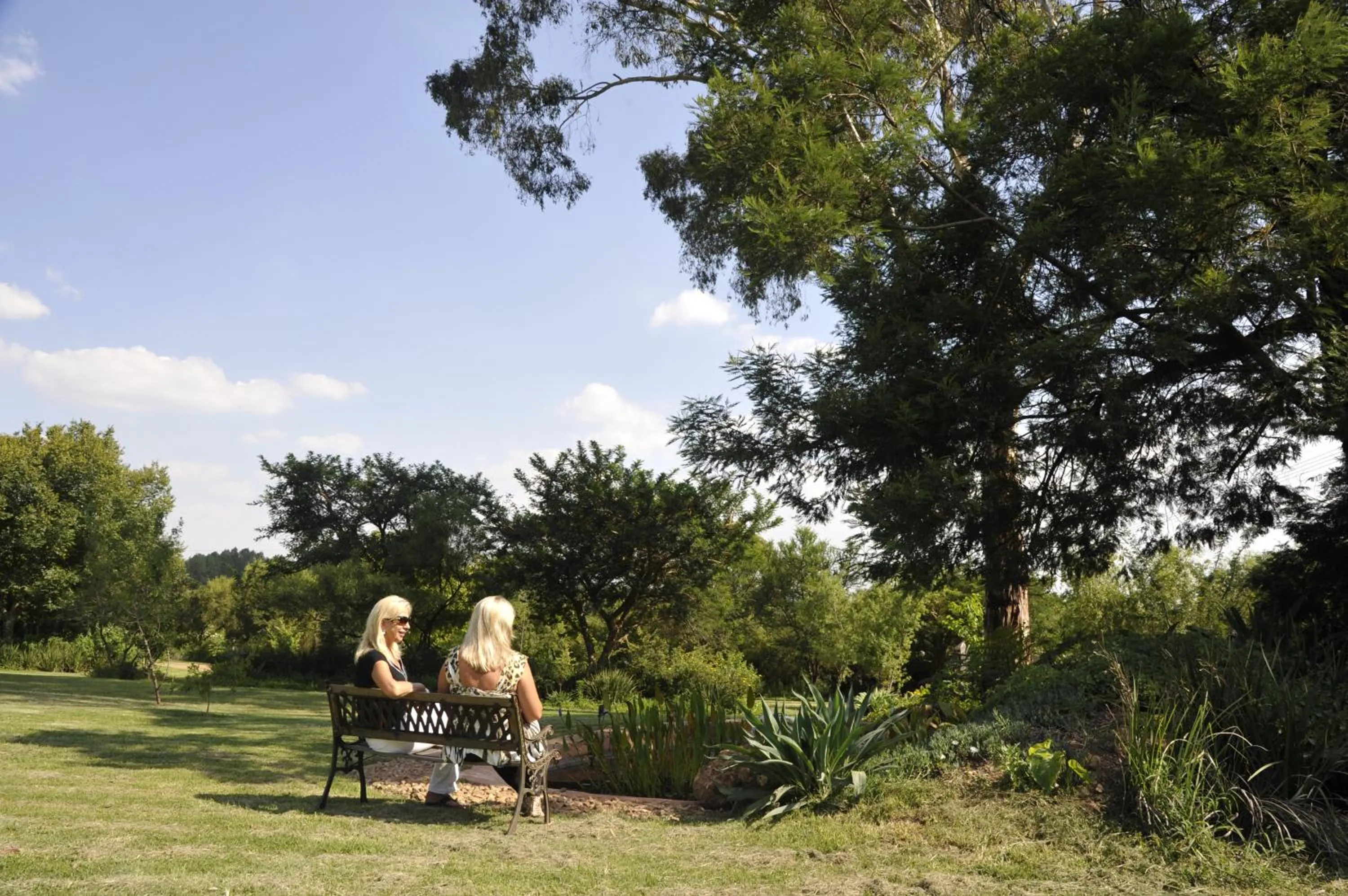 Garden in Ipe Tombe Guest Lodge - Midrand