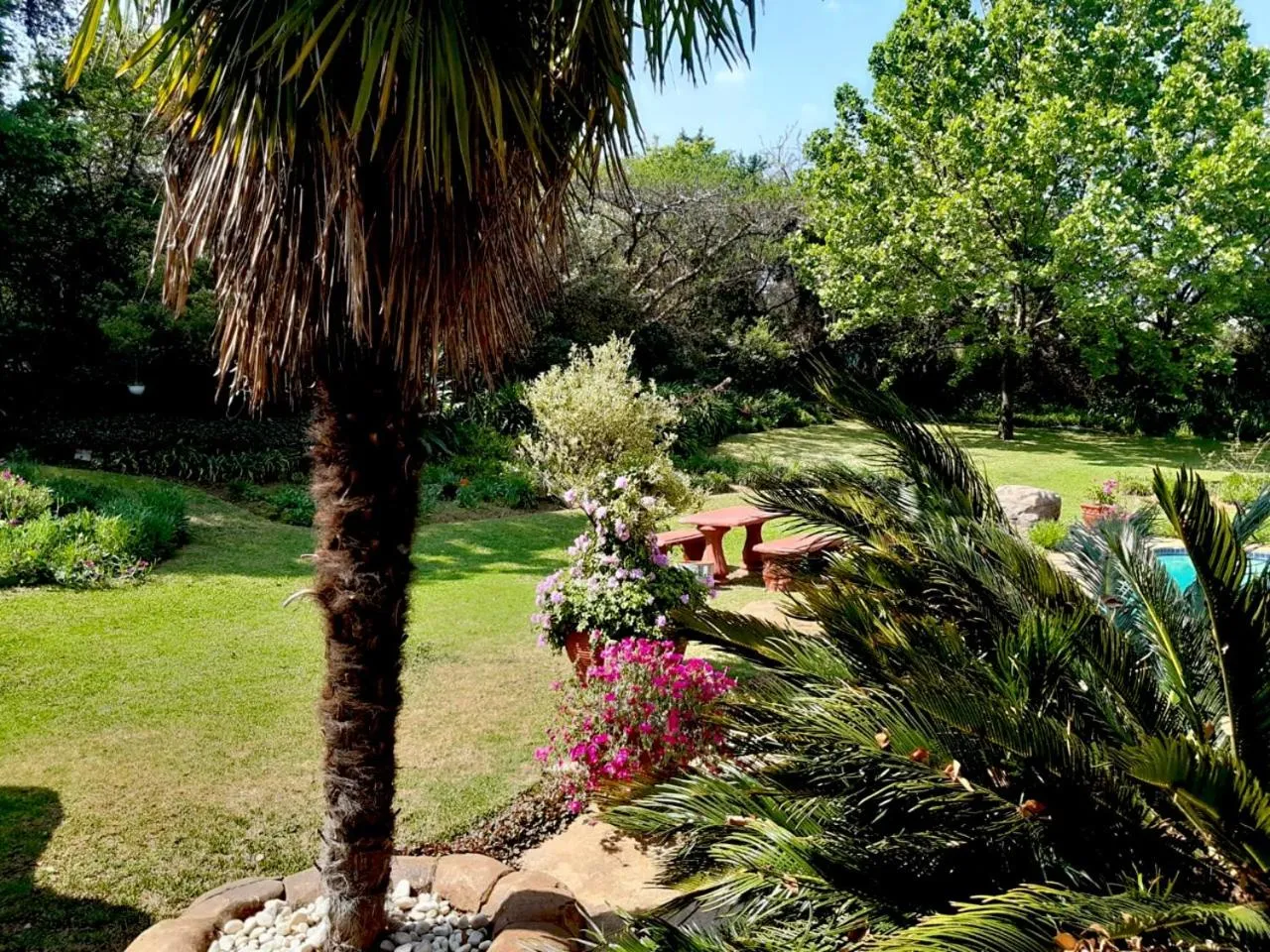 Garden in Ipe Tombe Guest Lodge - Midrand
