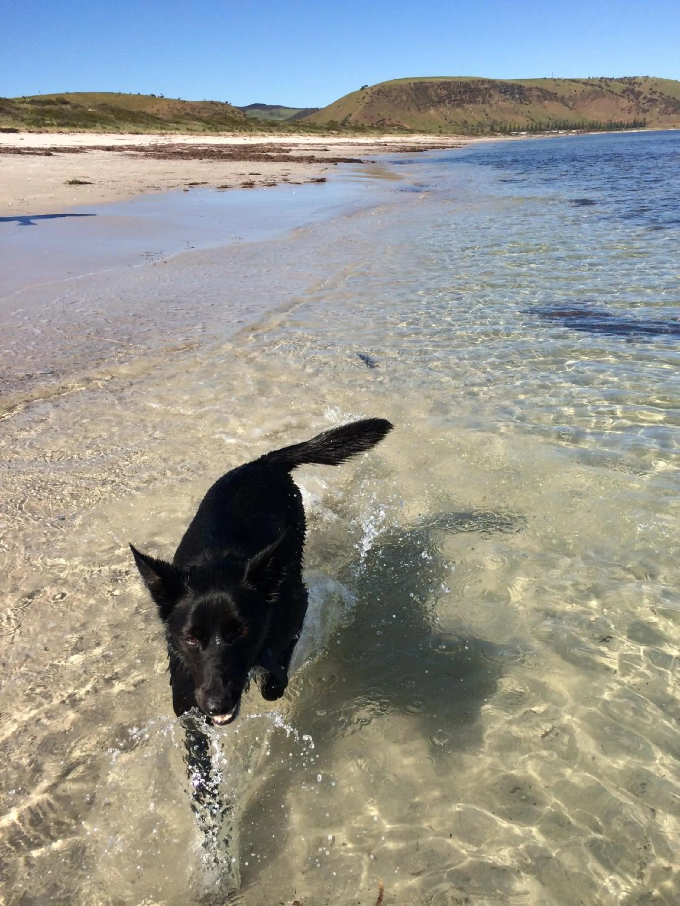 Day in Echo Holiday Parks - Normanville