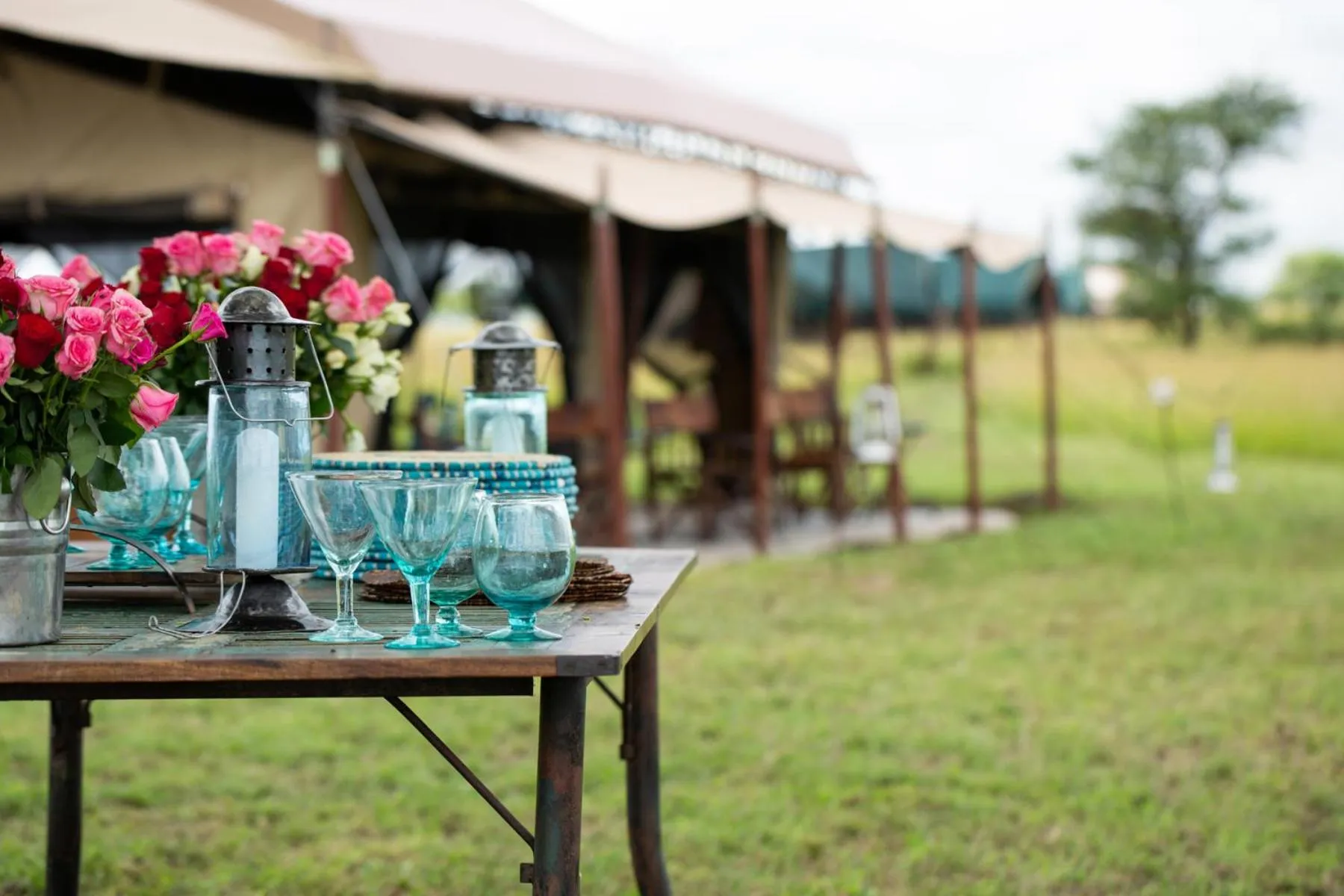 Garden in Pumzika Luxury Safari Camp