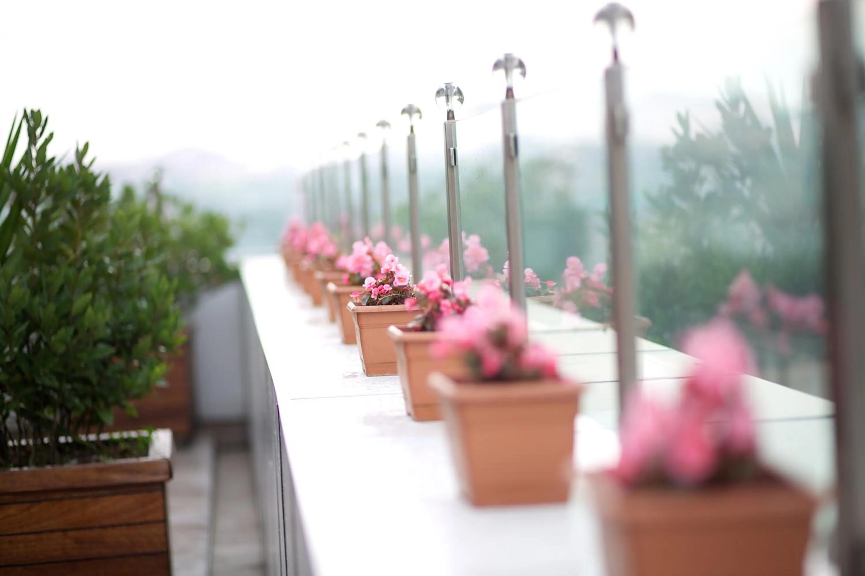 Balcony/Terrace in Boutique Princess Hotel