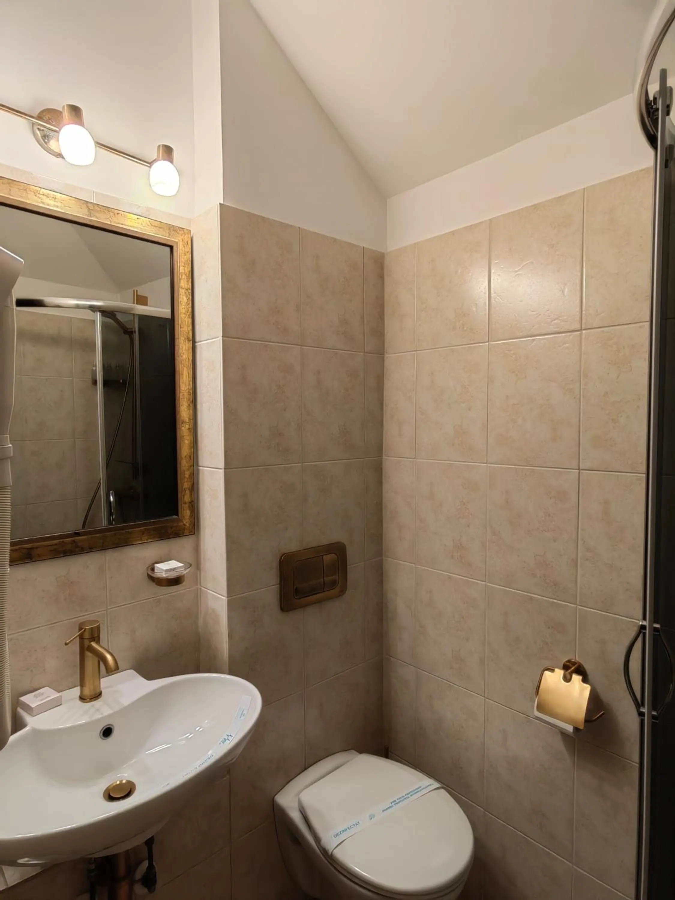 Toilet in Hotel Carol