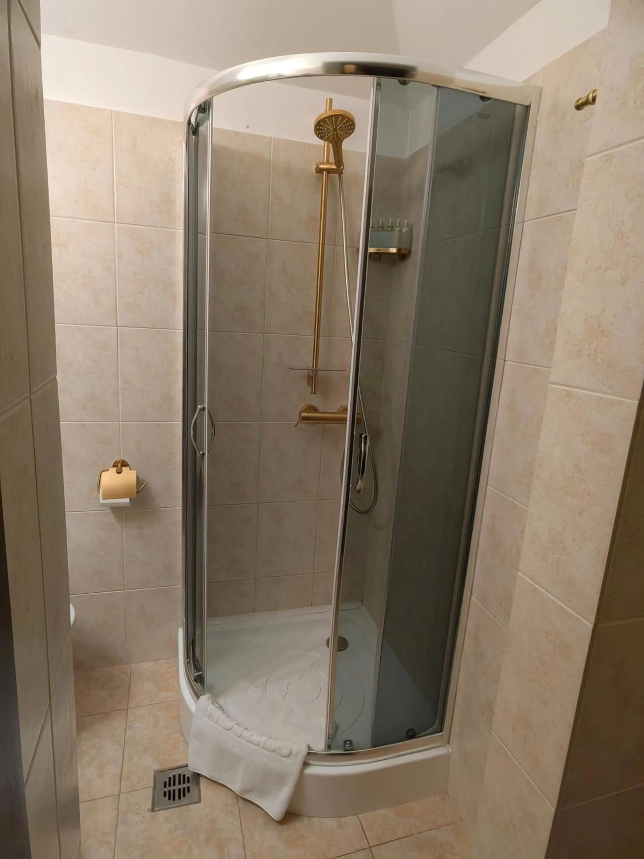 Shower in Hotel Carol
