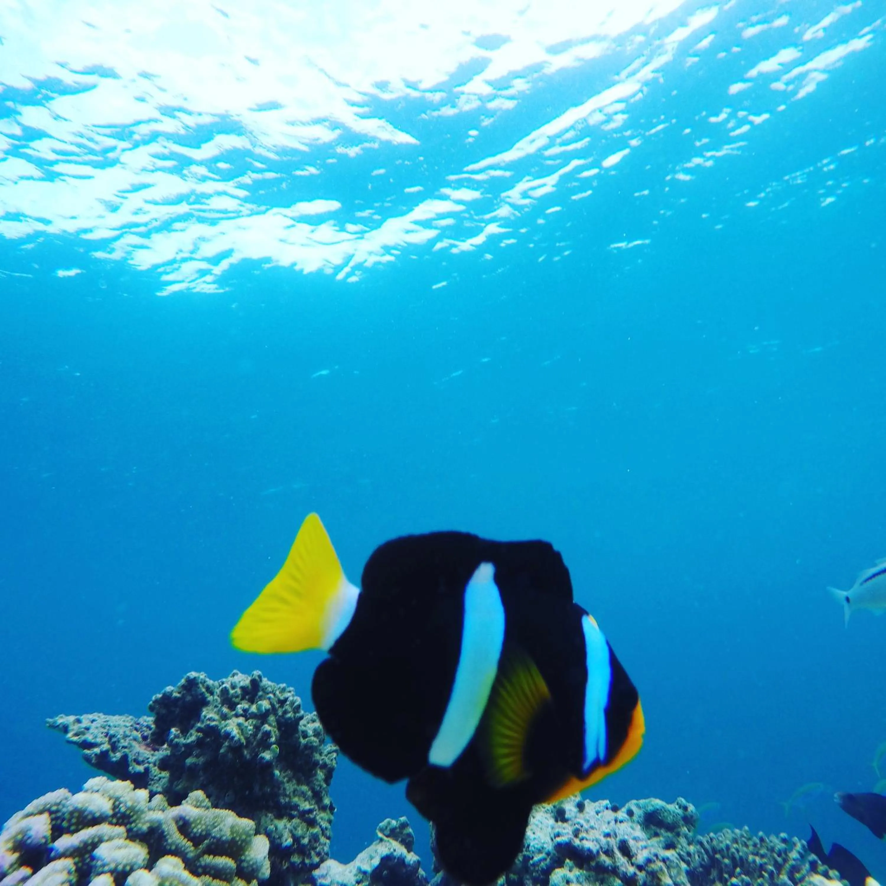 Activities in Salt Beach Hotel