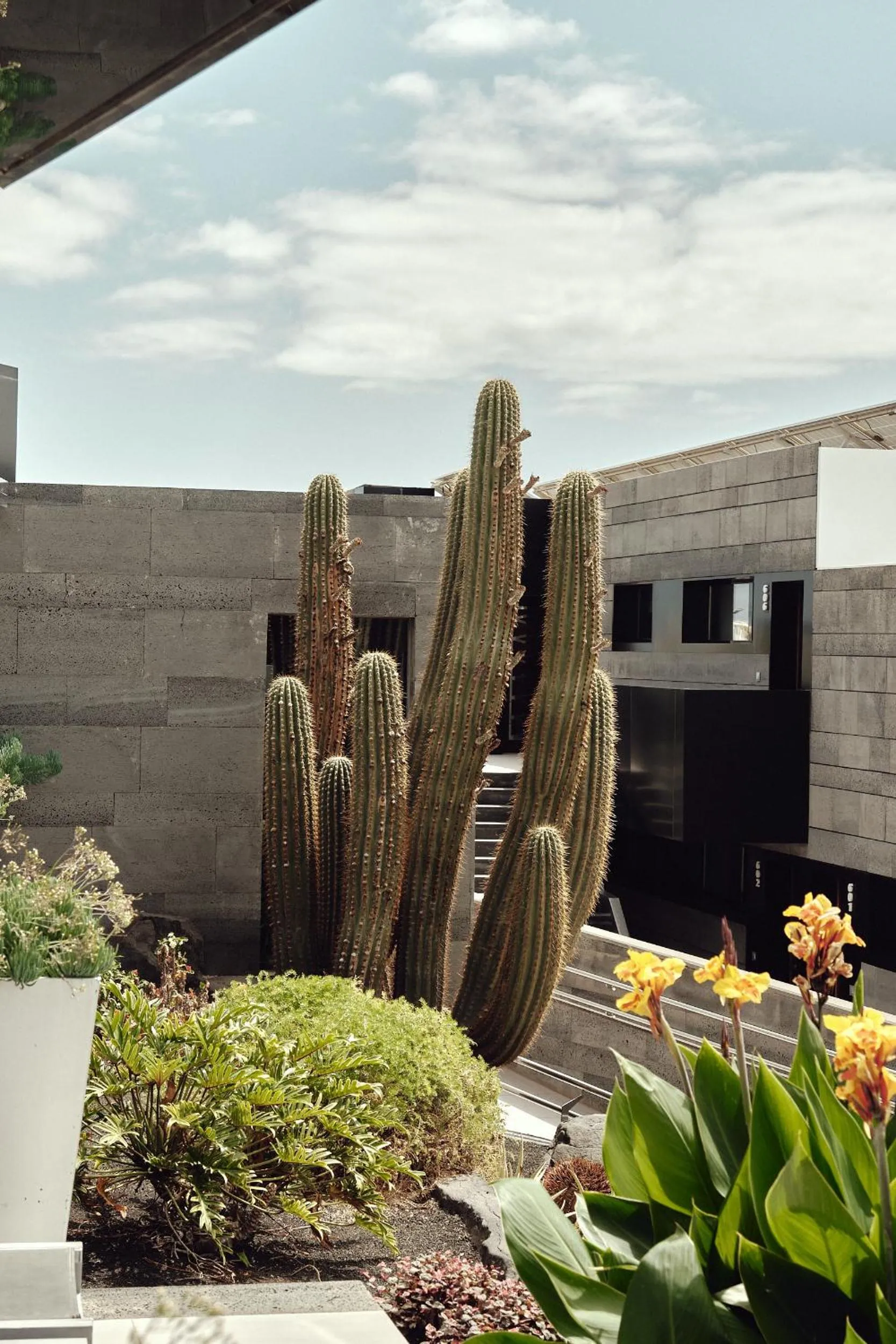 Garden in La Isla y el Mar, Hotel Boutique