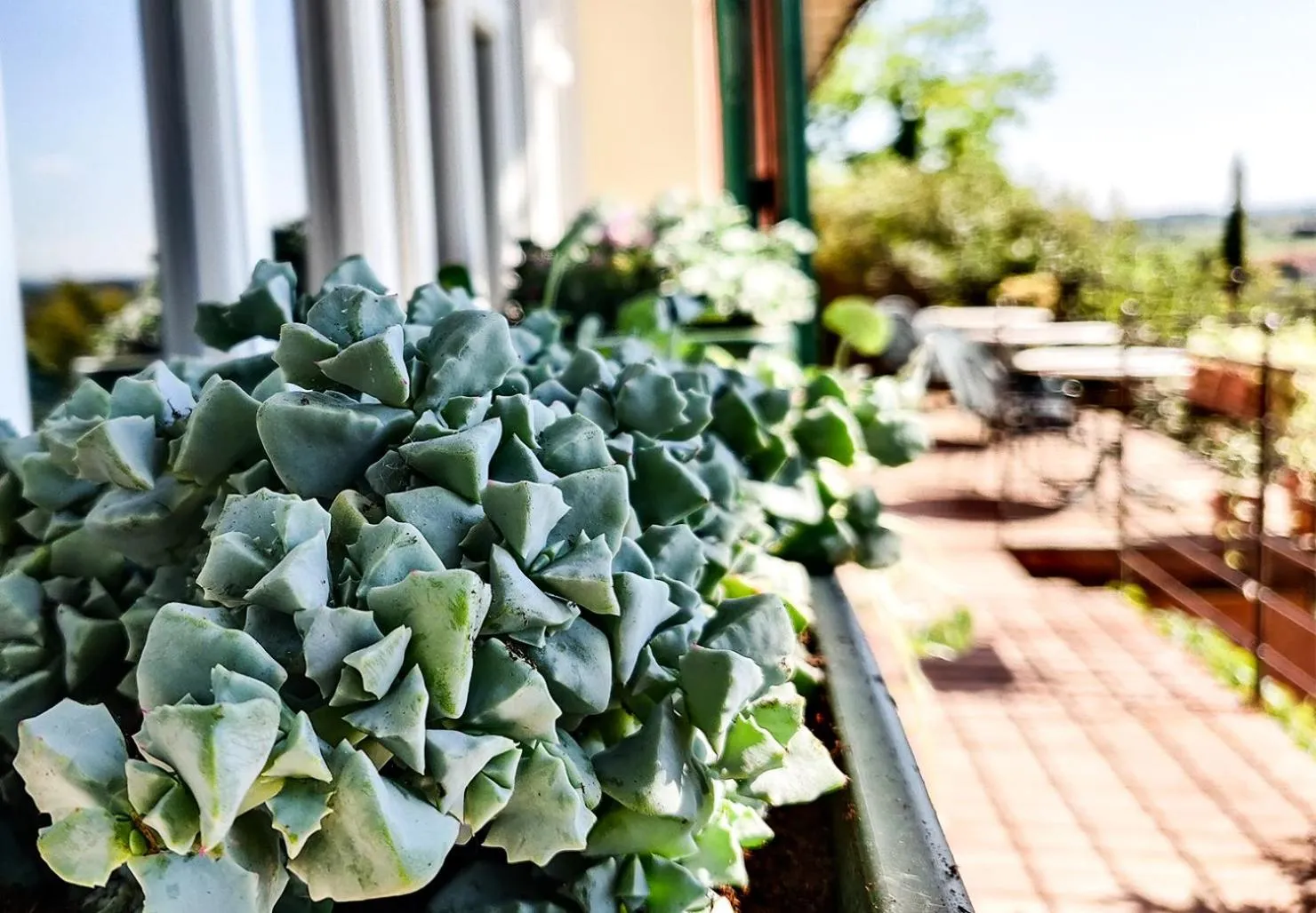 Property building in Hotel Castello S. Antonio