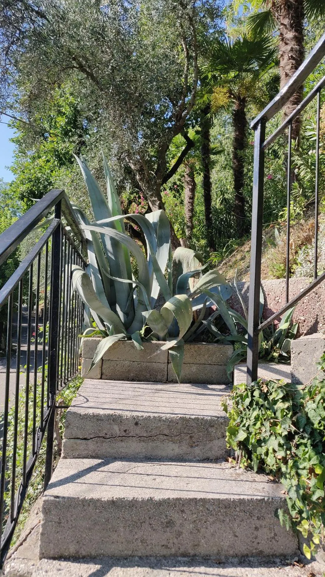 Garden in Hotel Castello S. Antonio