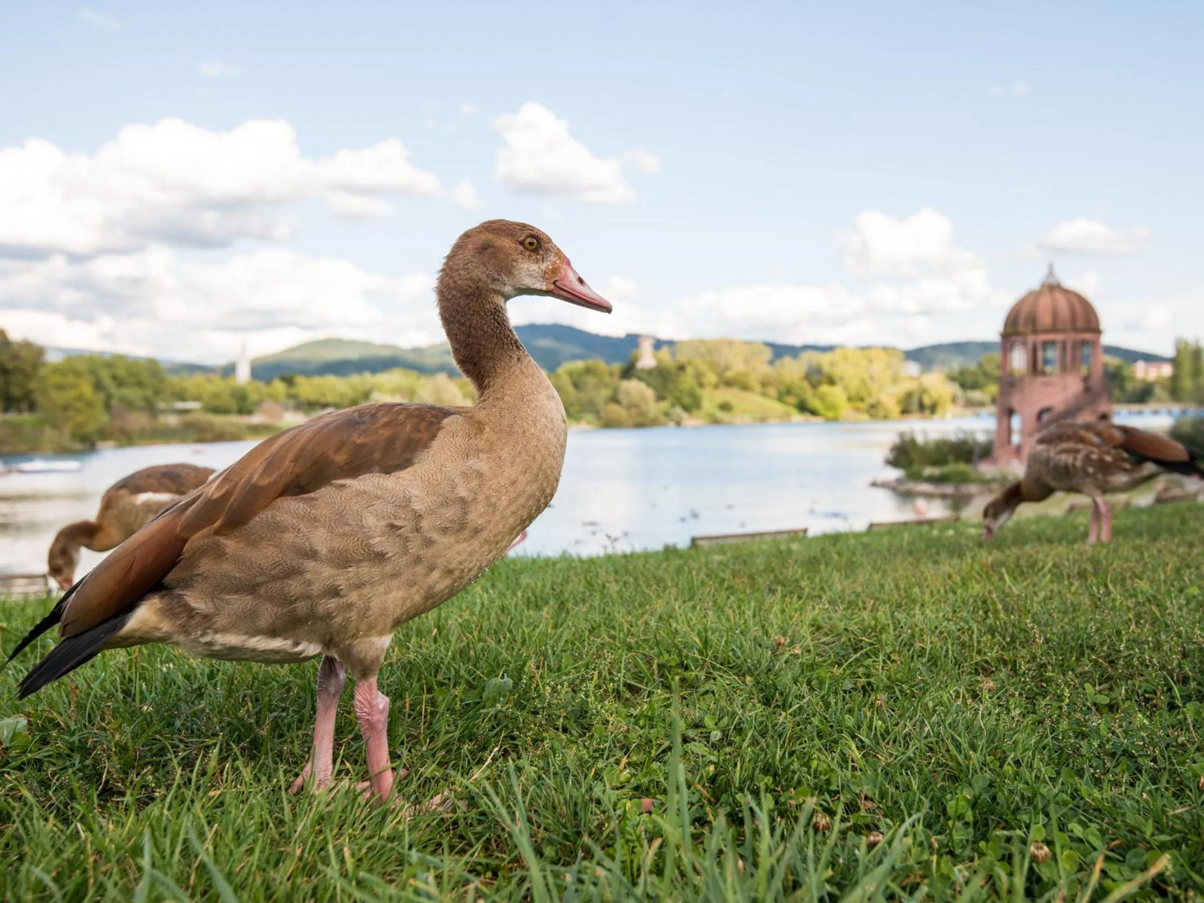 Spring in viavelo house am Seepark