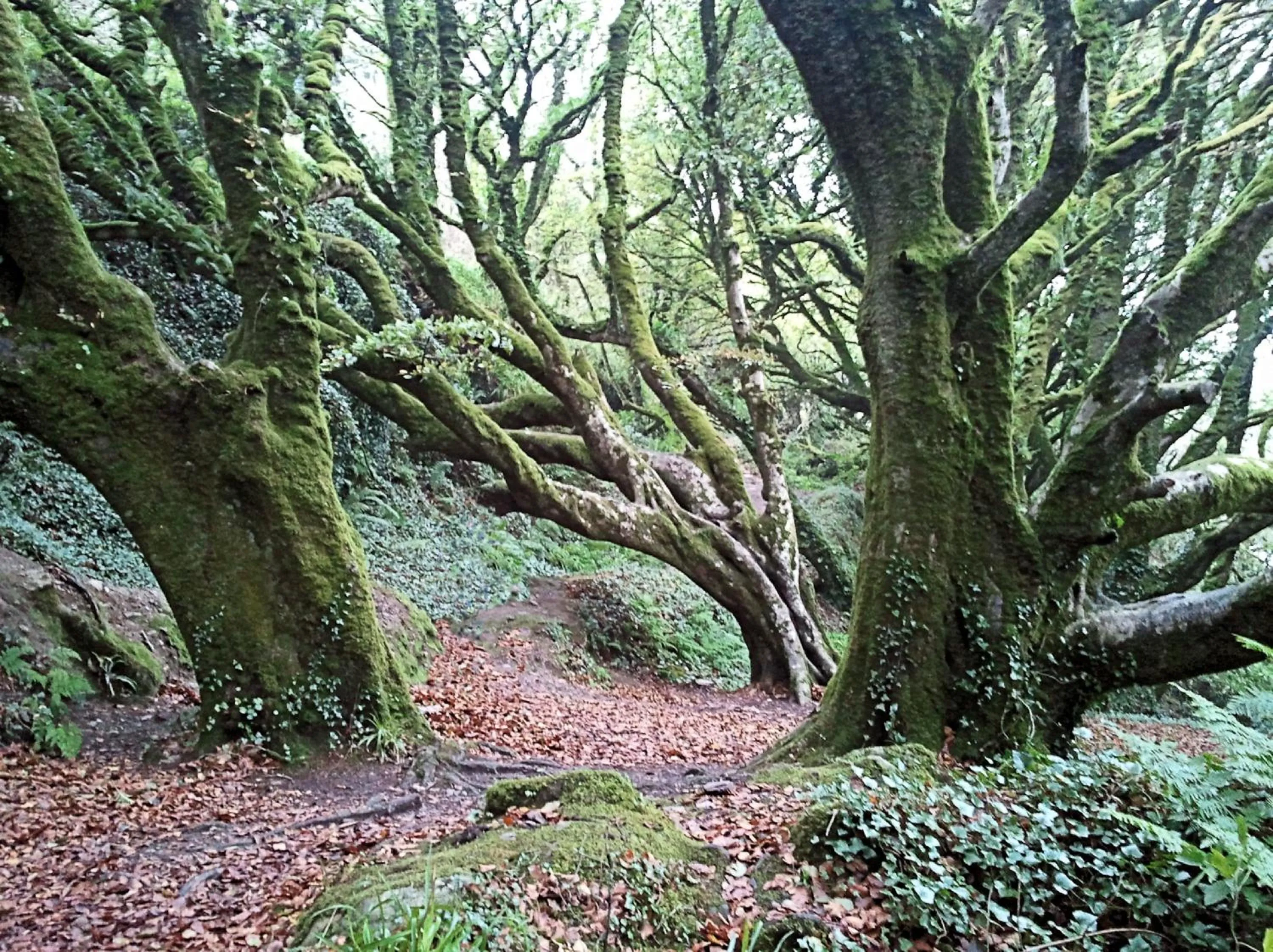 Hiking in The Stone House B&B