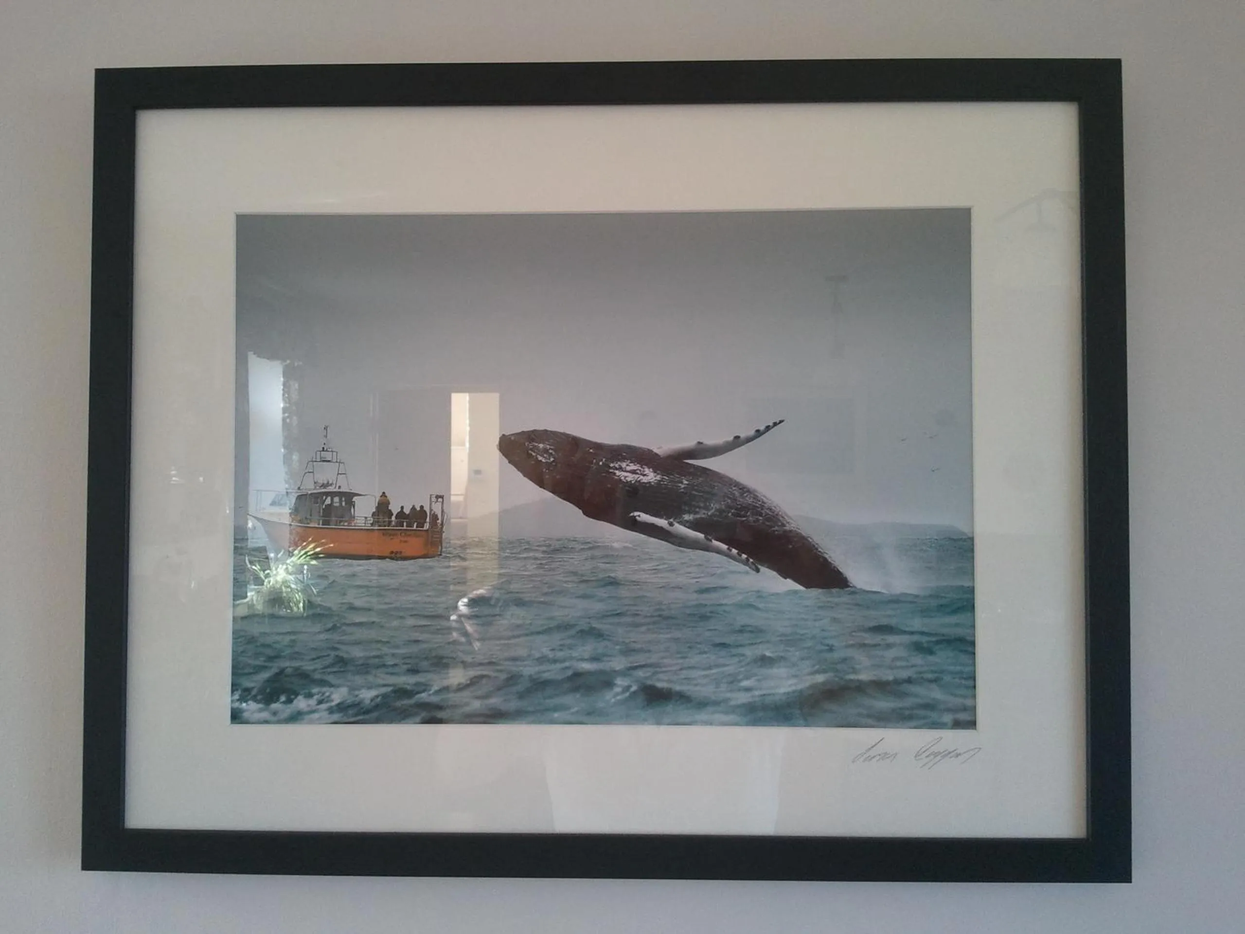 Activities in The Stone House B&B