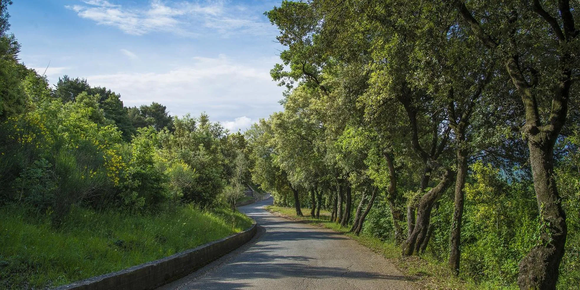 Natural landscape in Relais I Piastroni