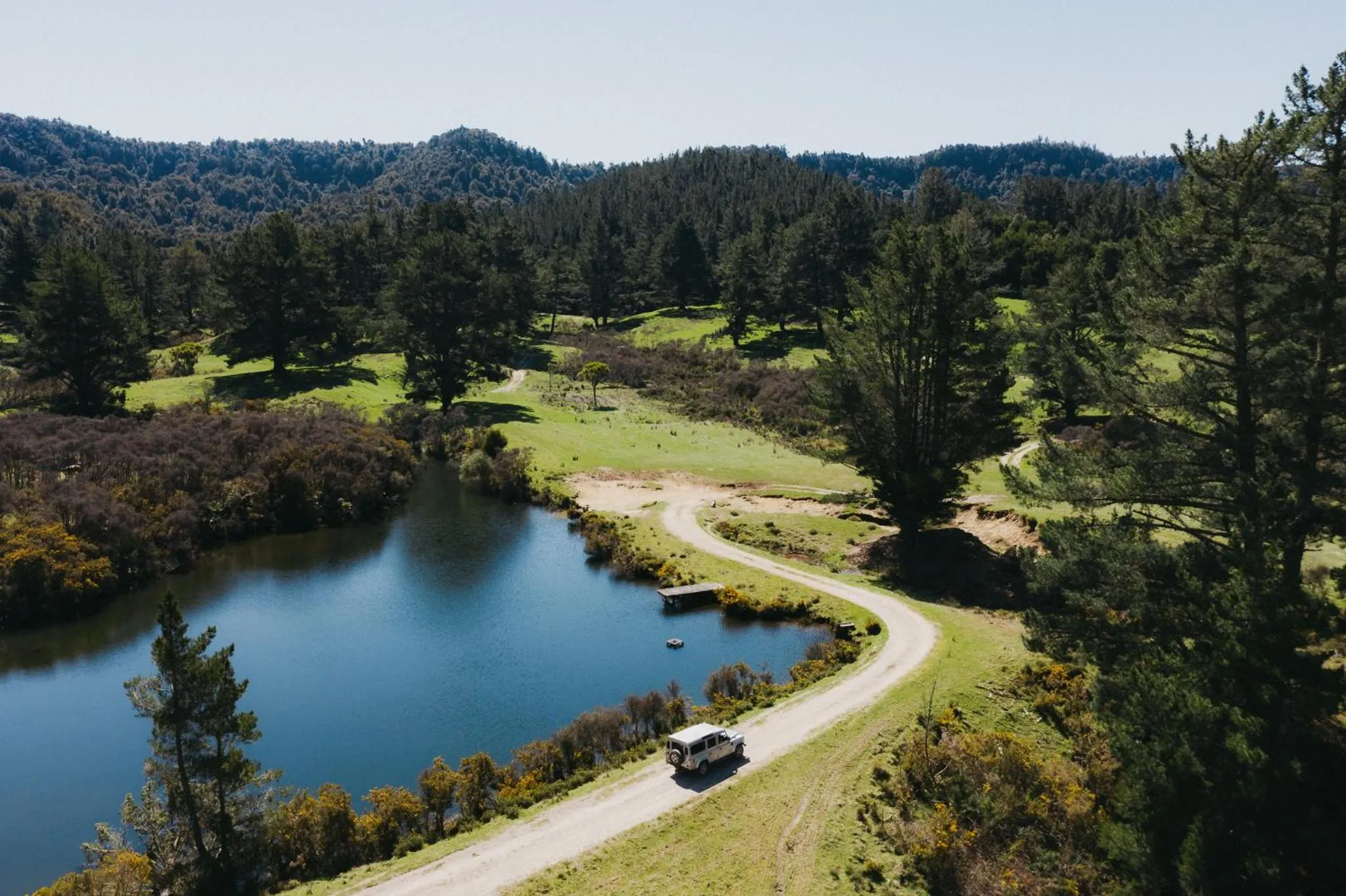Natural landscape in Treetops Lodge & Estate