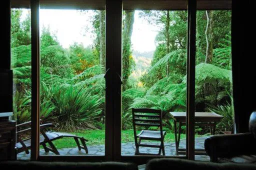 Treetops Lodge & Estate