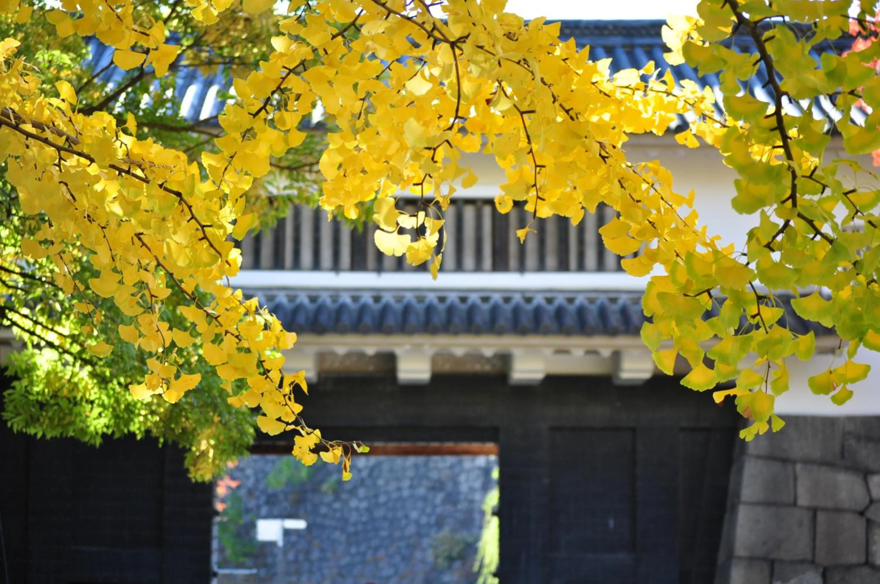 Nearby landmark in Hotel New Otani Osaka