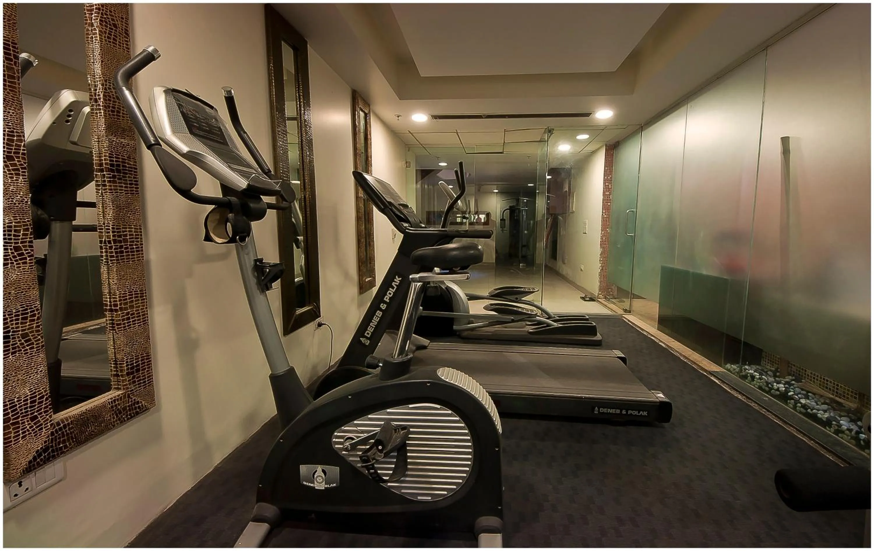 Fitness centre/facilities in Hotel Aura - New Delhi Railway Station