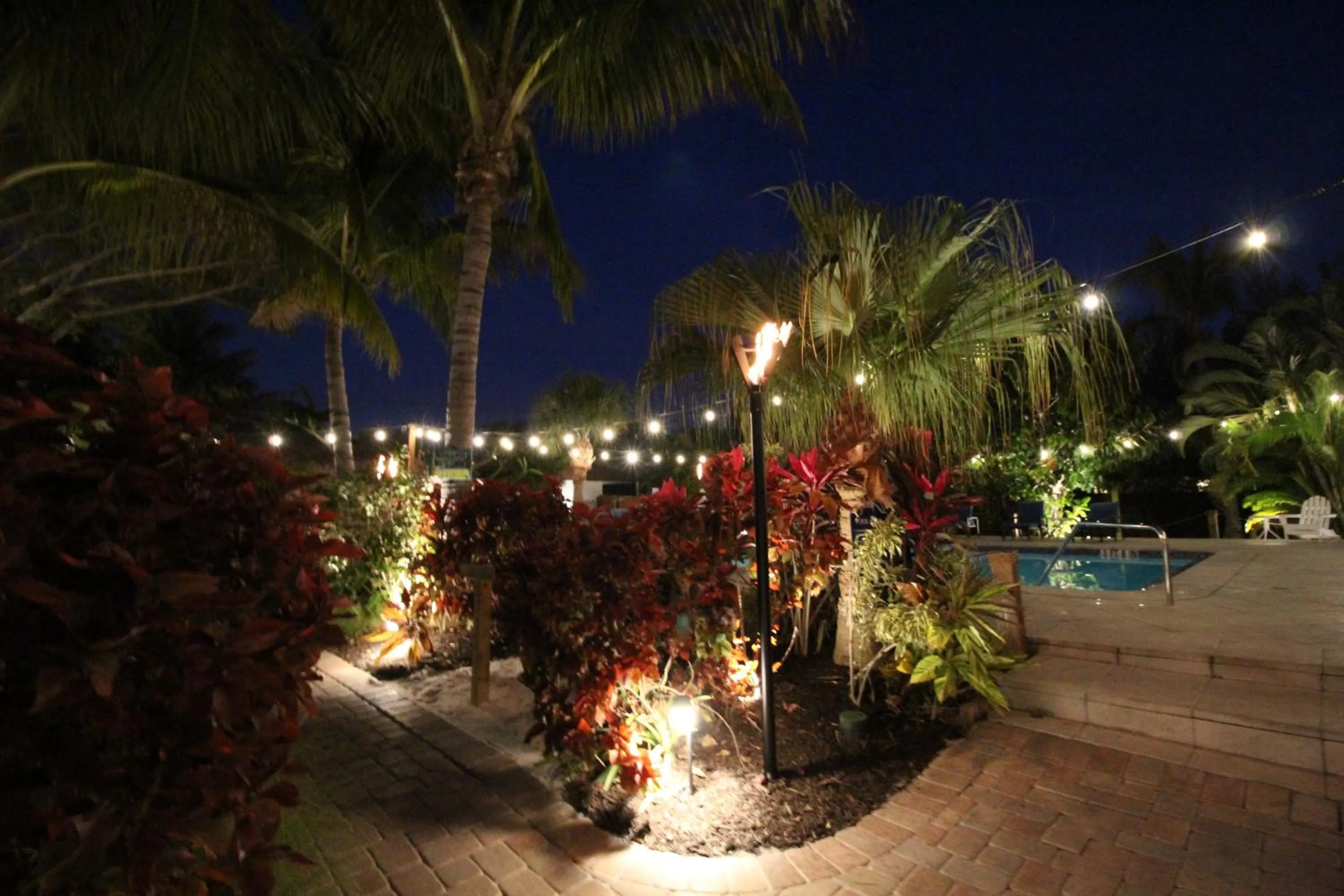 Garden in Siesta Key Palms Resort