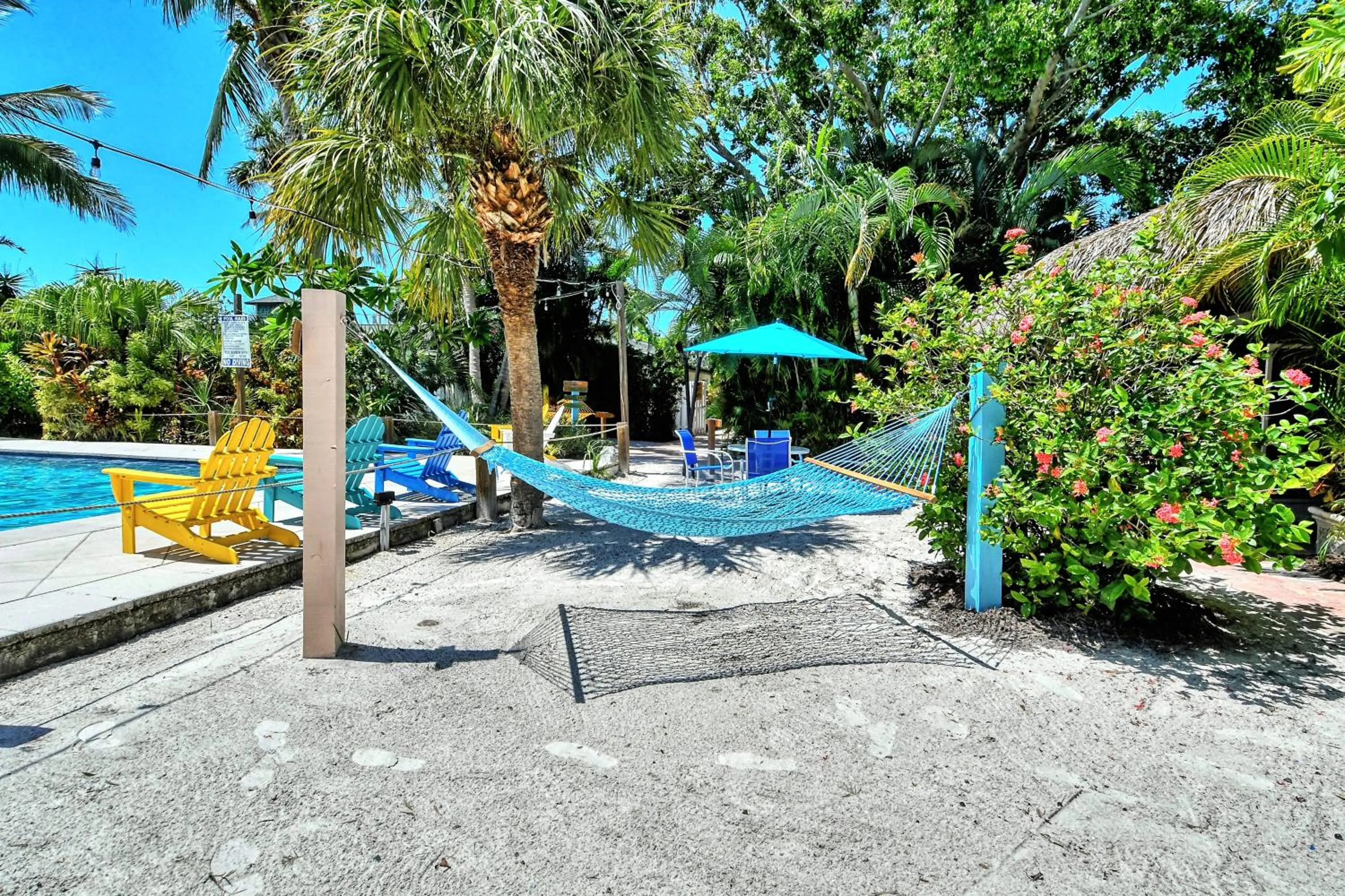 Natural landscape in Siesta Key Palms Resort