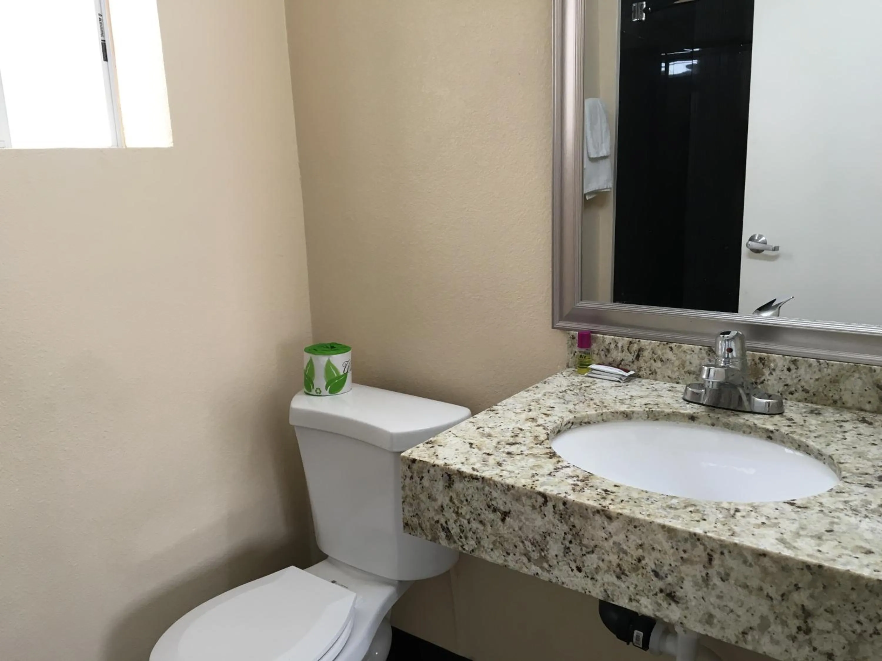 Toilet in Ace Budget Motel