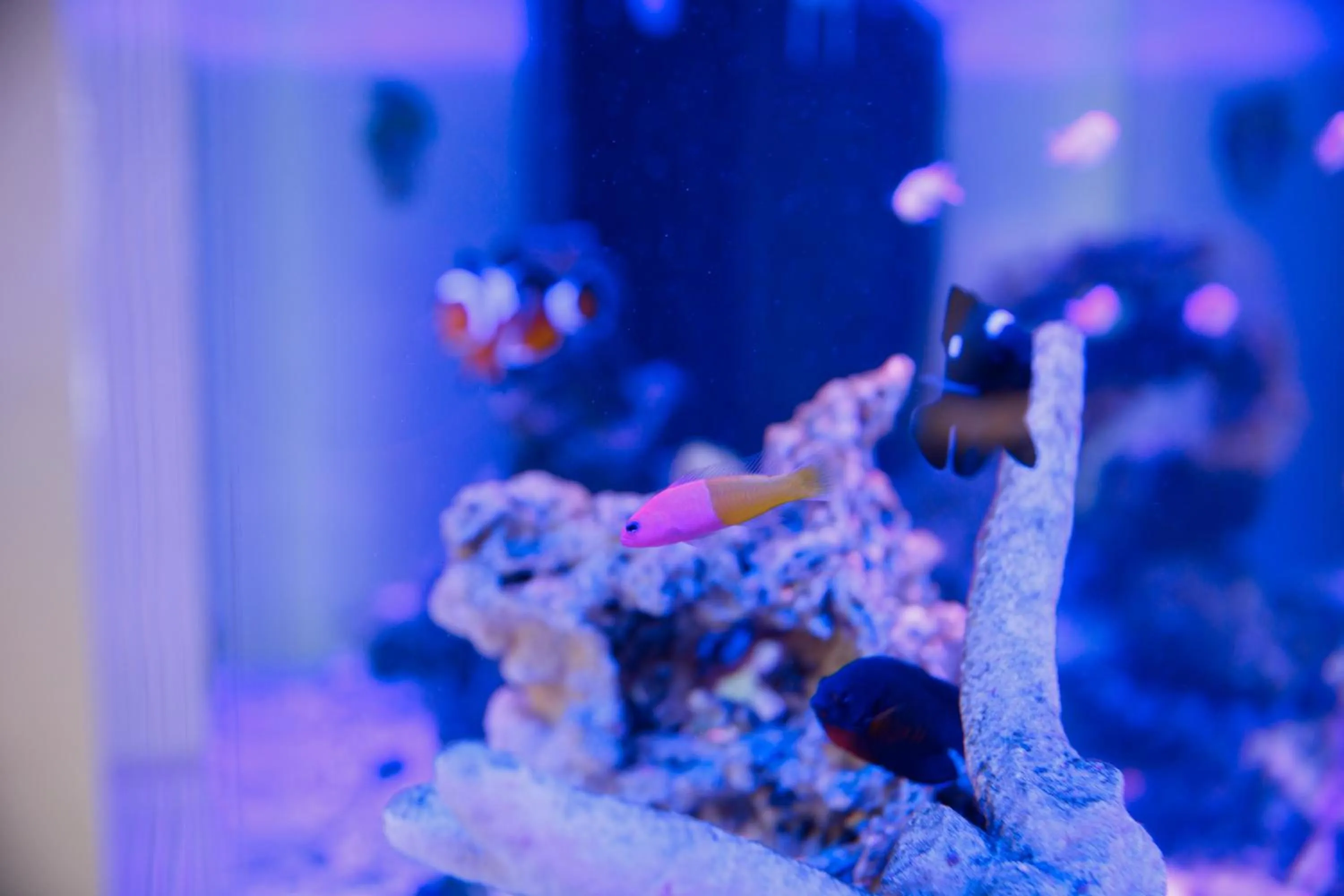 Lobby or reception in Kanazawa Station Hotel