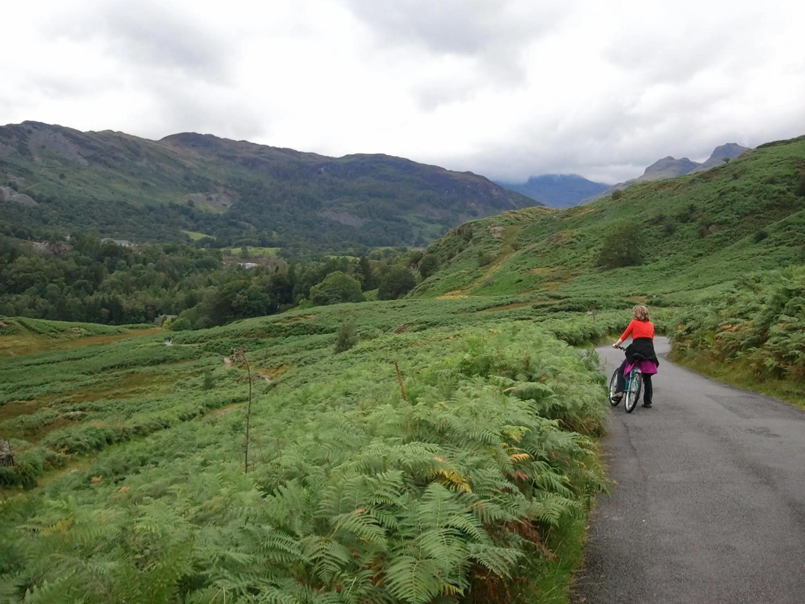 Day in The Westbourne