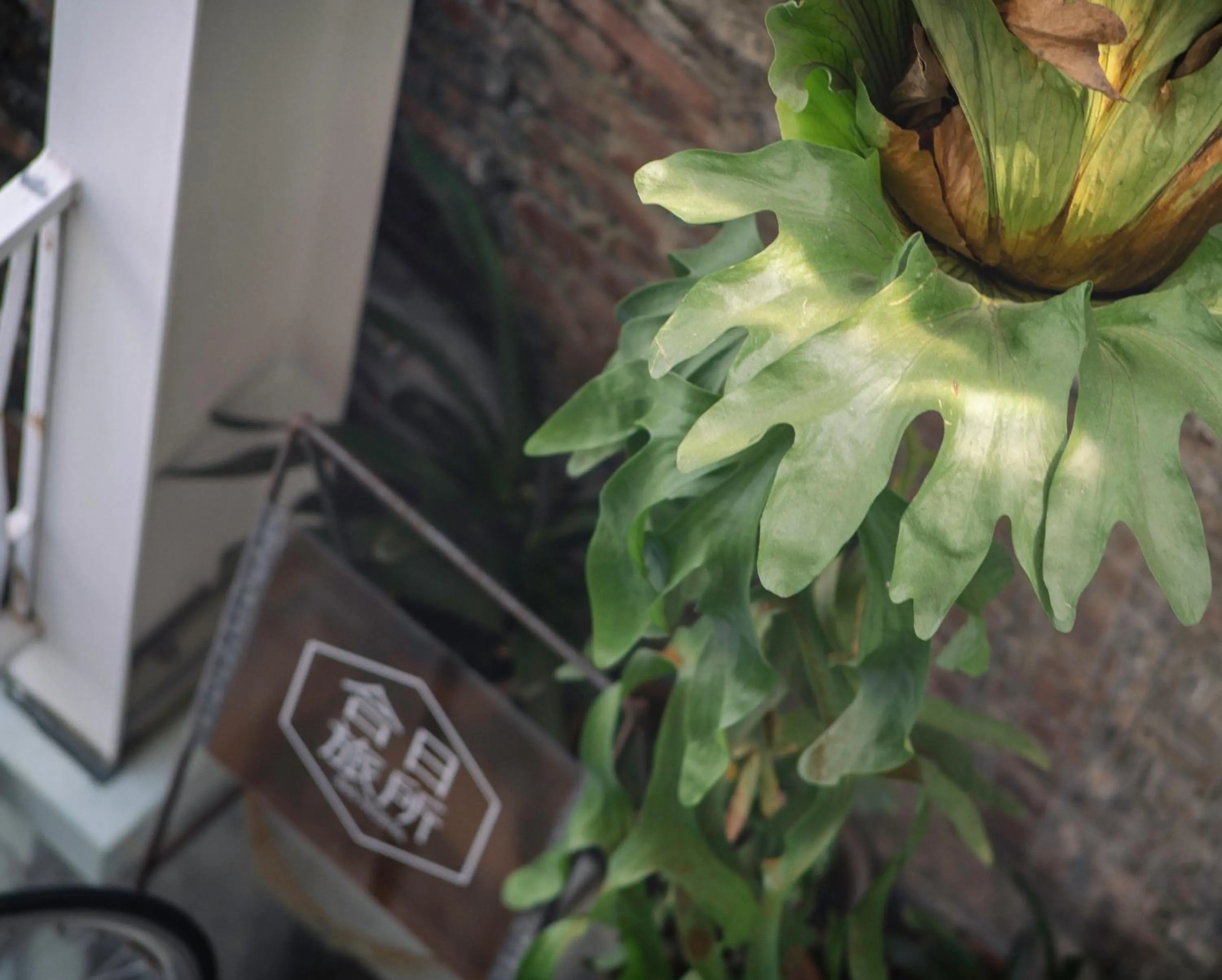 Property logo or sign in 365.Hostel