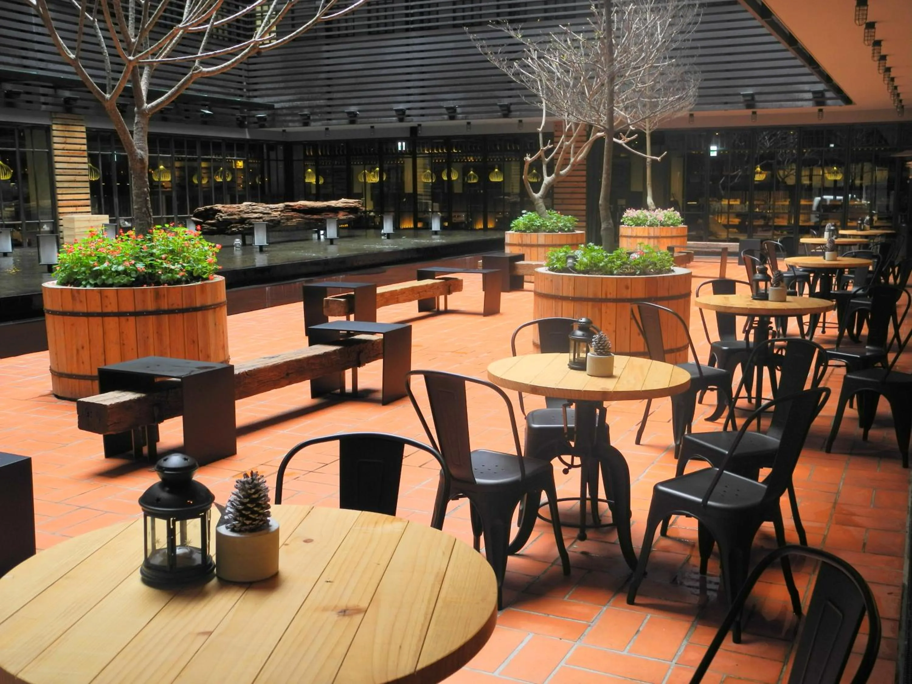 Patio in Hotel PaPa Whale