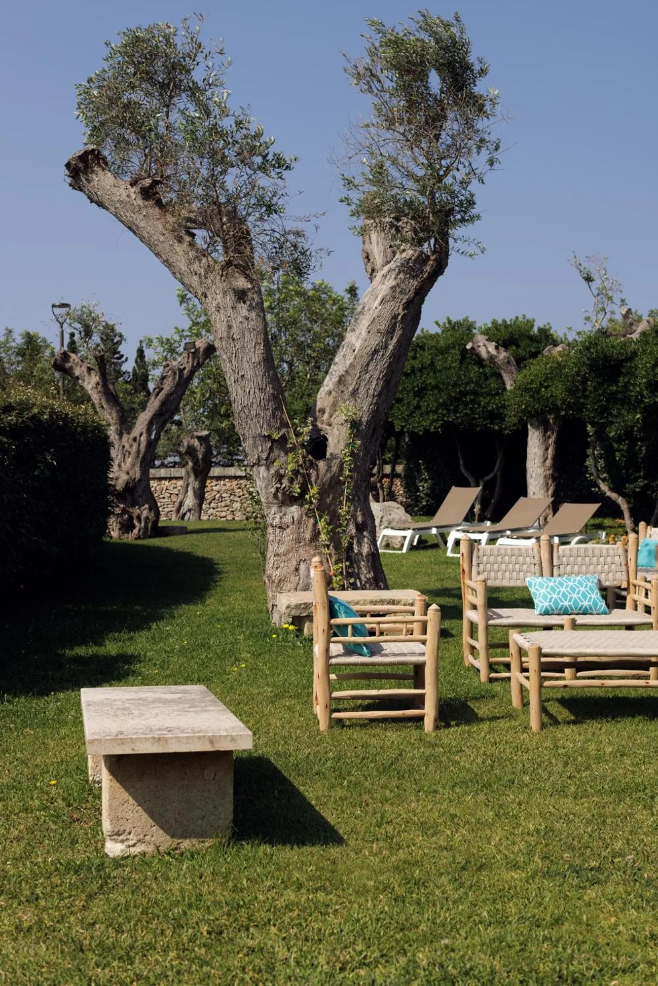 Garden in Borgo de li Santi