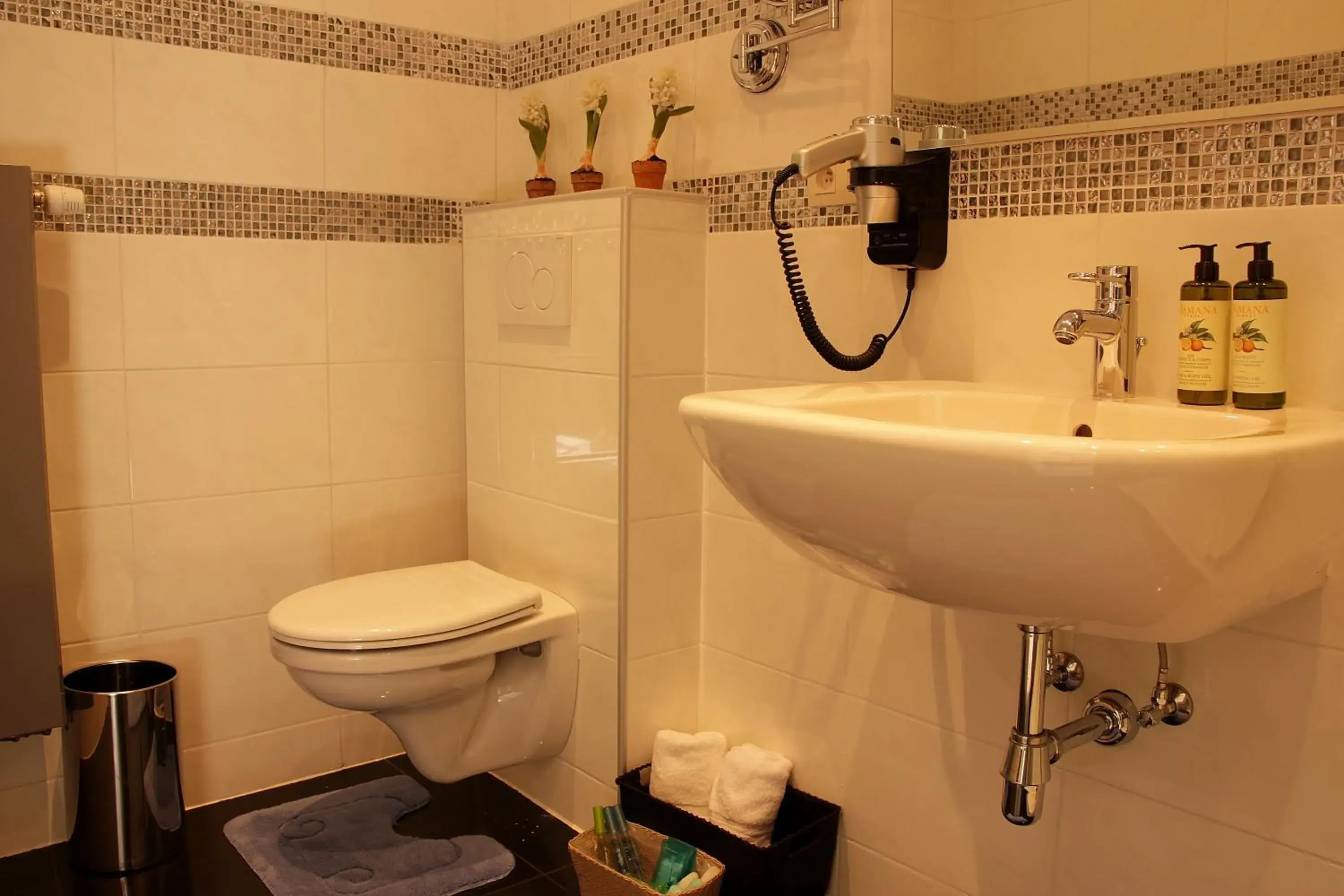 Executive Suite in Luxury Suites Arendshof Executive Suite in Luxury Suites Arendshof