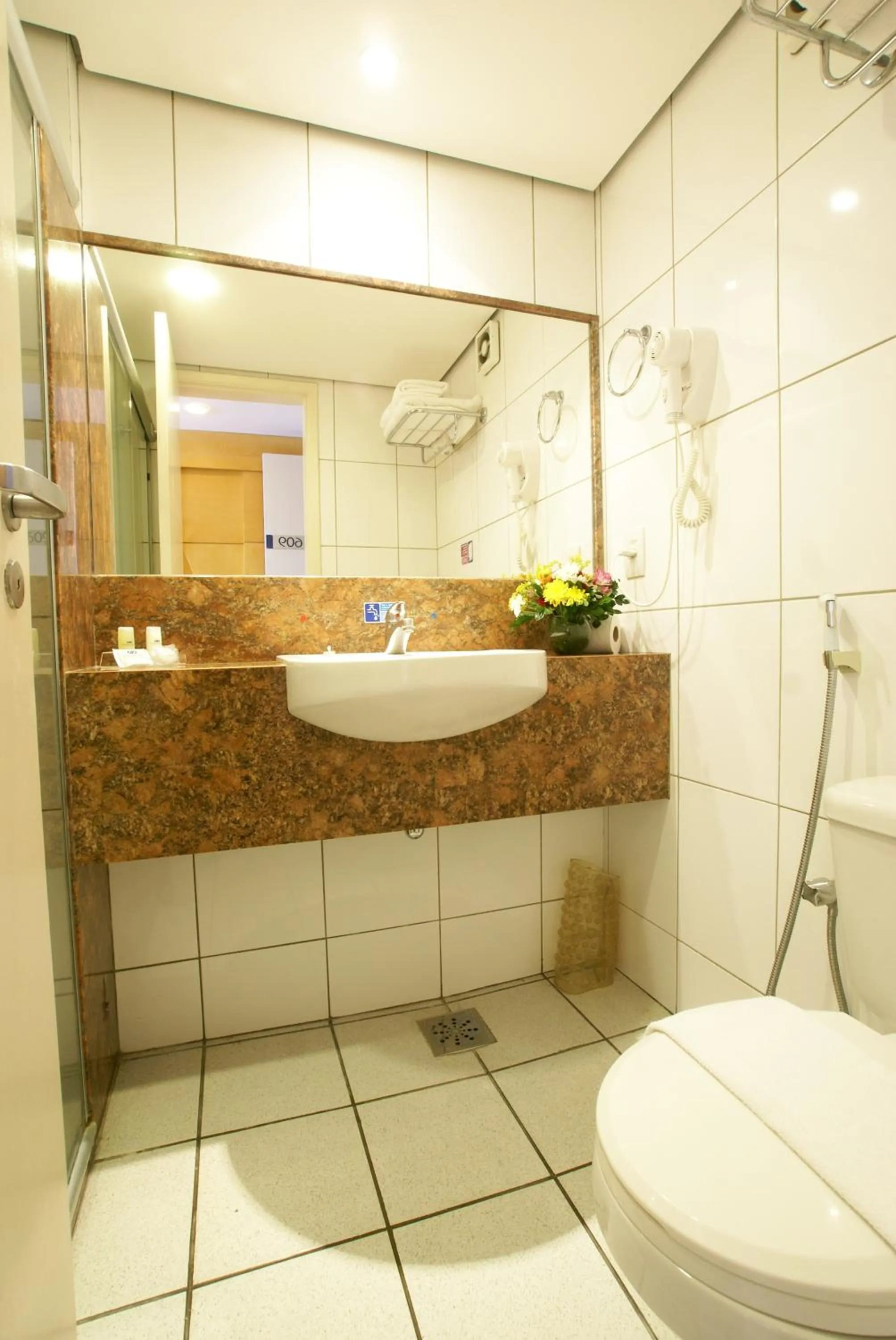 Bathroom in Hotel Diogo