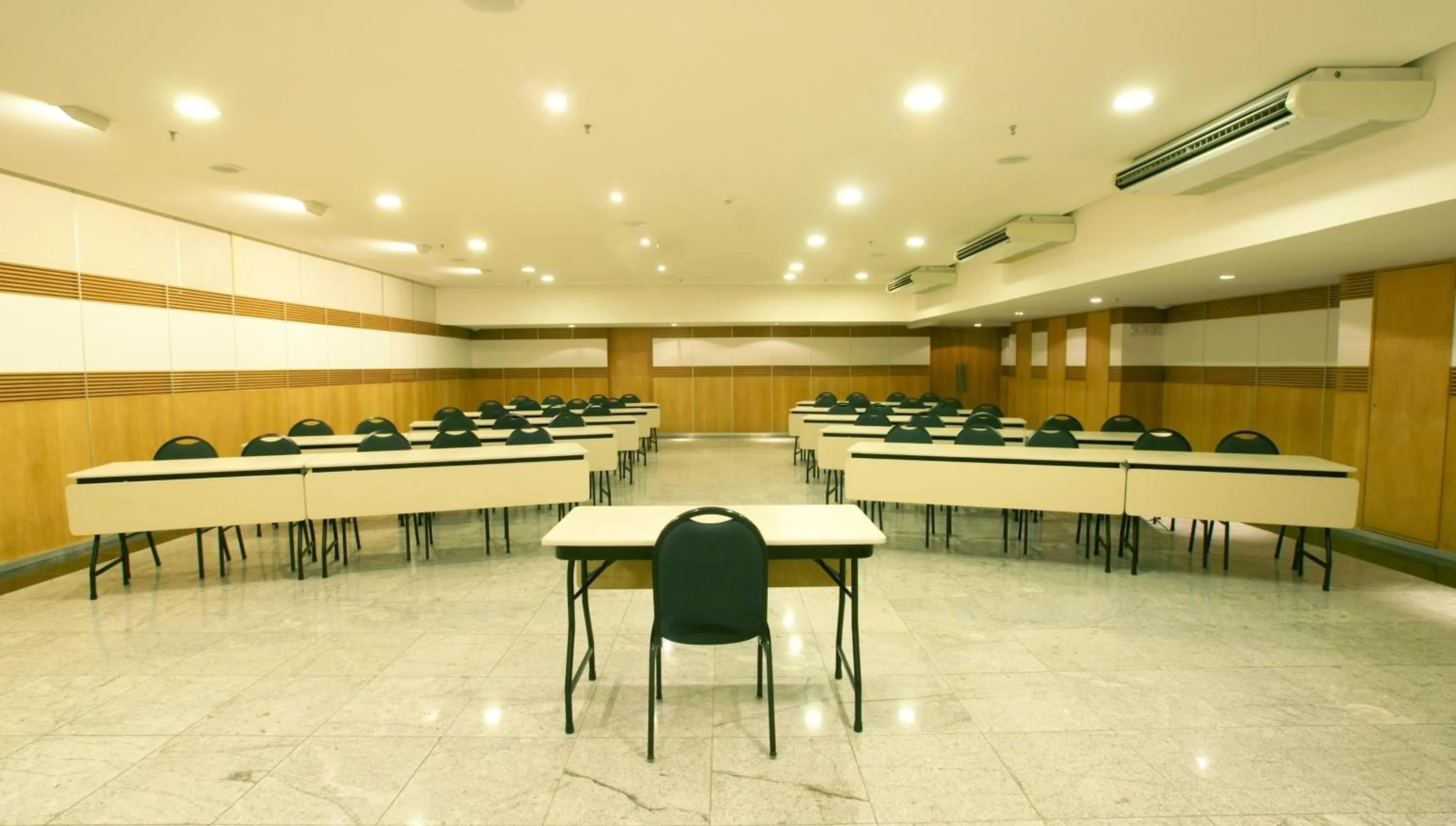 Business facilities in Hotel Diogo