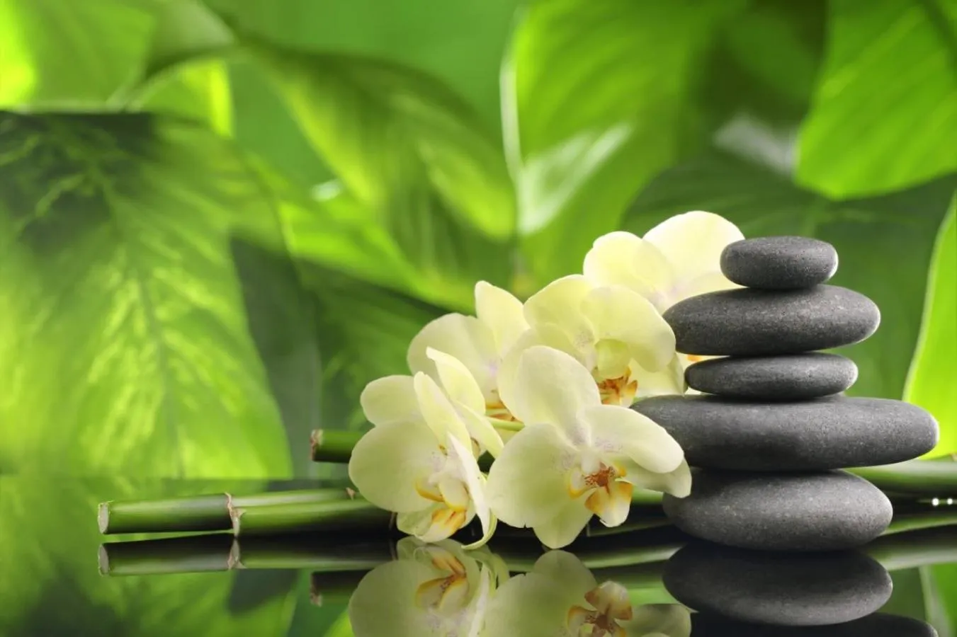 Spa and wellness centre/facilities in Hotel Rondo