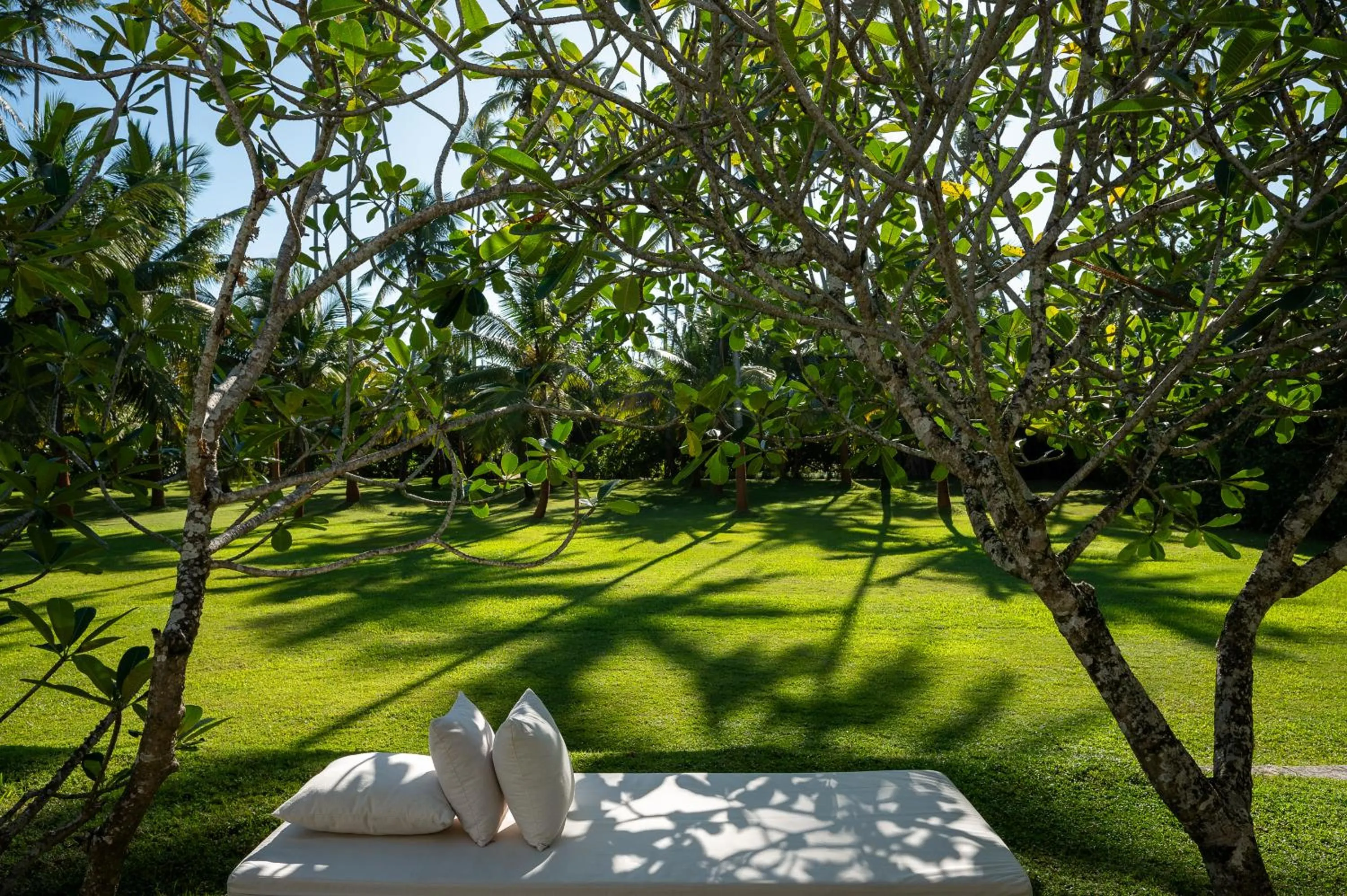 Garden view in Nyne Hotels Rock Villa - Bentota