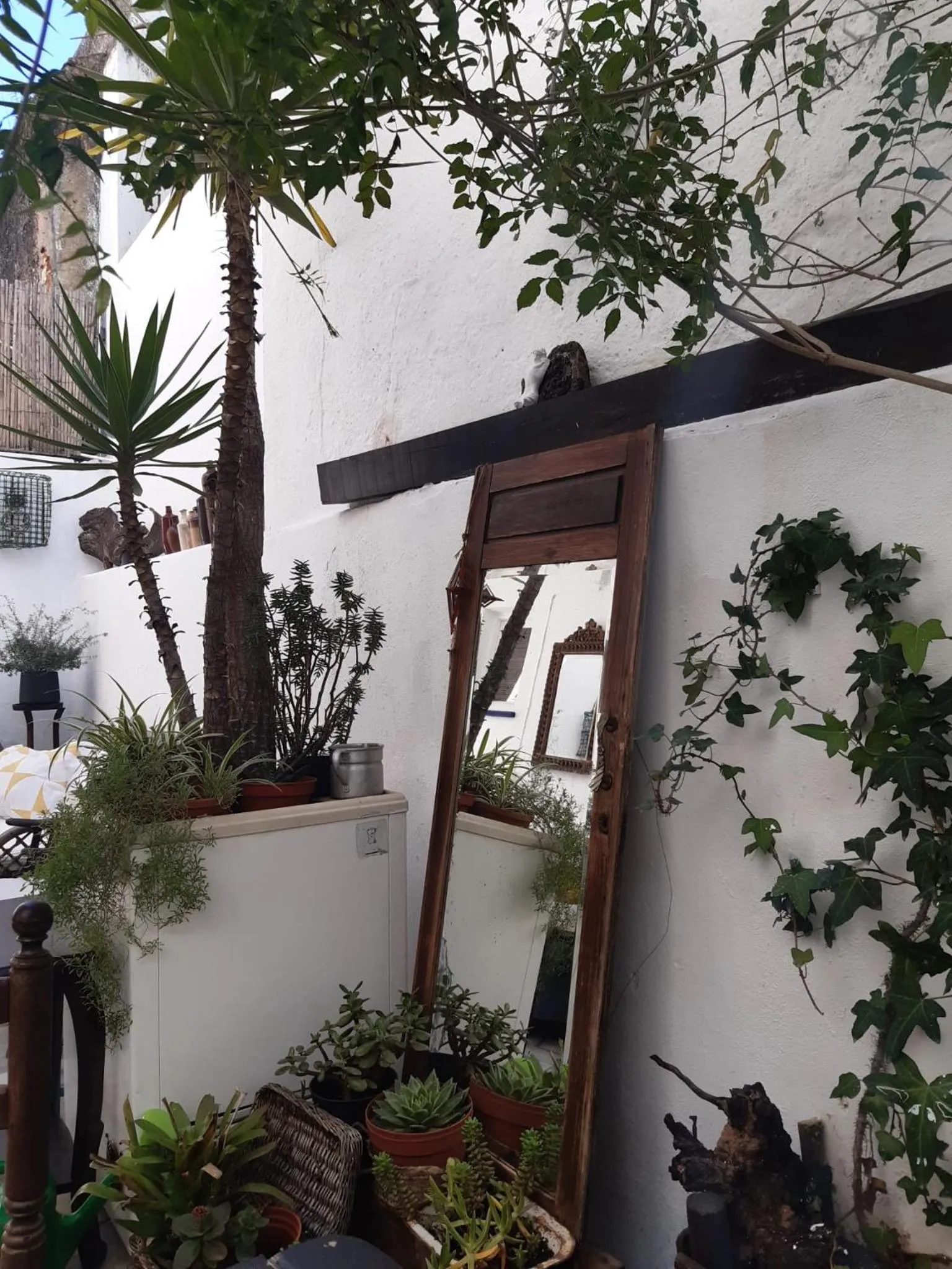 Patio in Olive Hostel Lagos