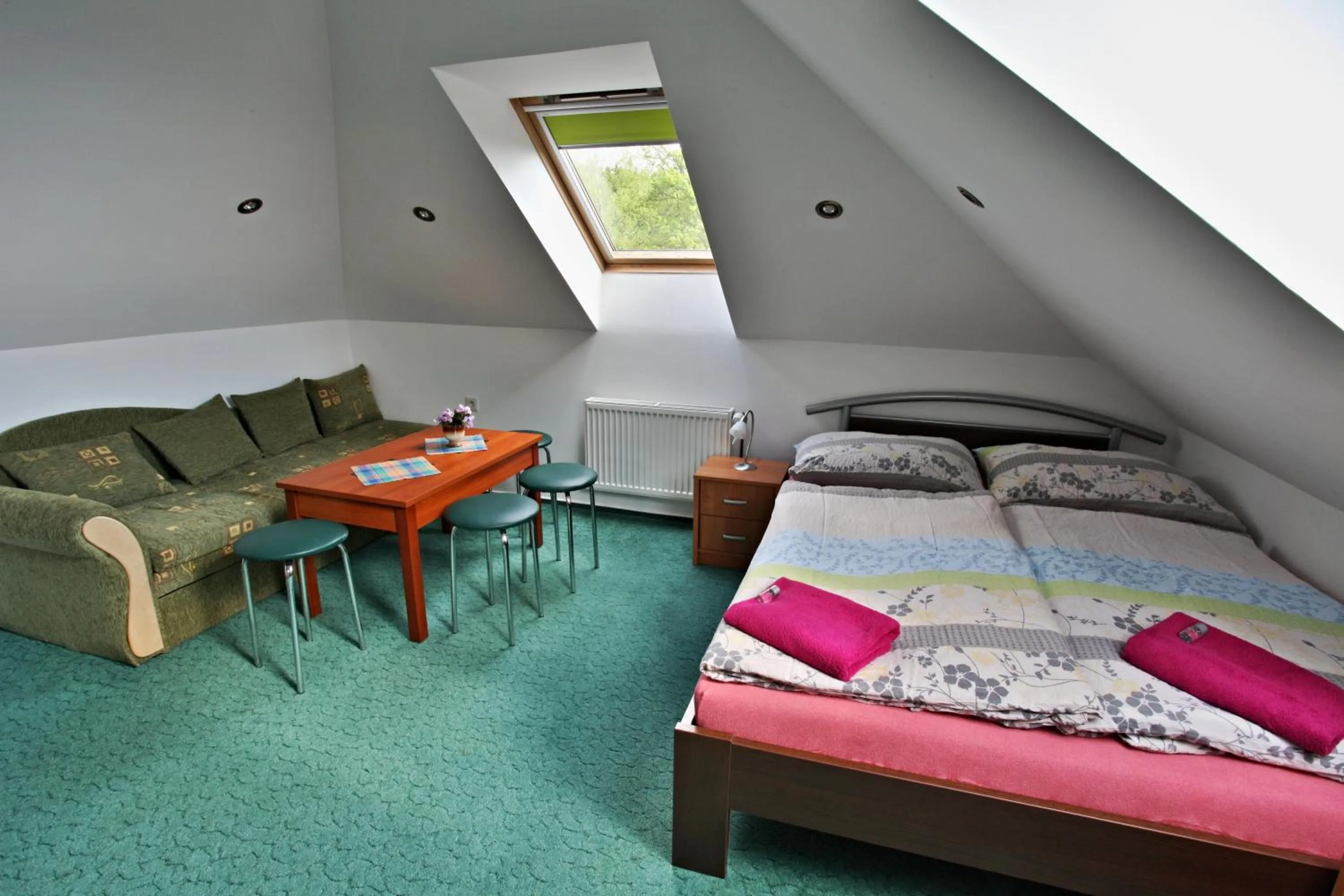 Attic Double Room - single occupancy in Penzion Vyhlídka Janovičky