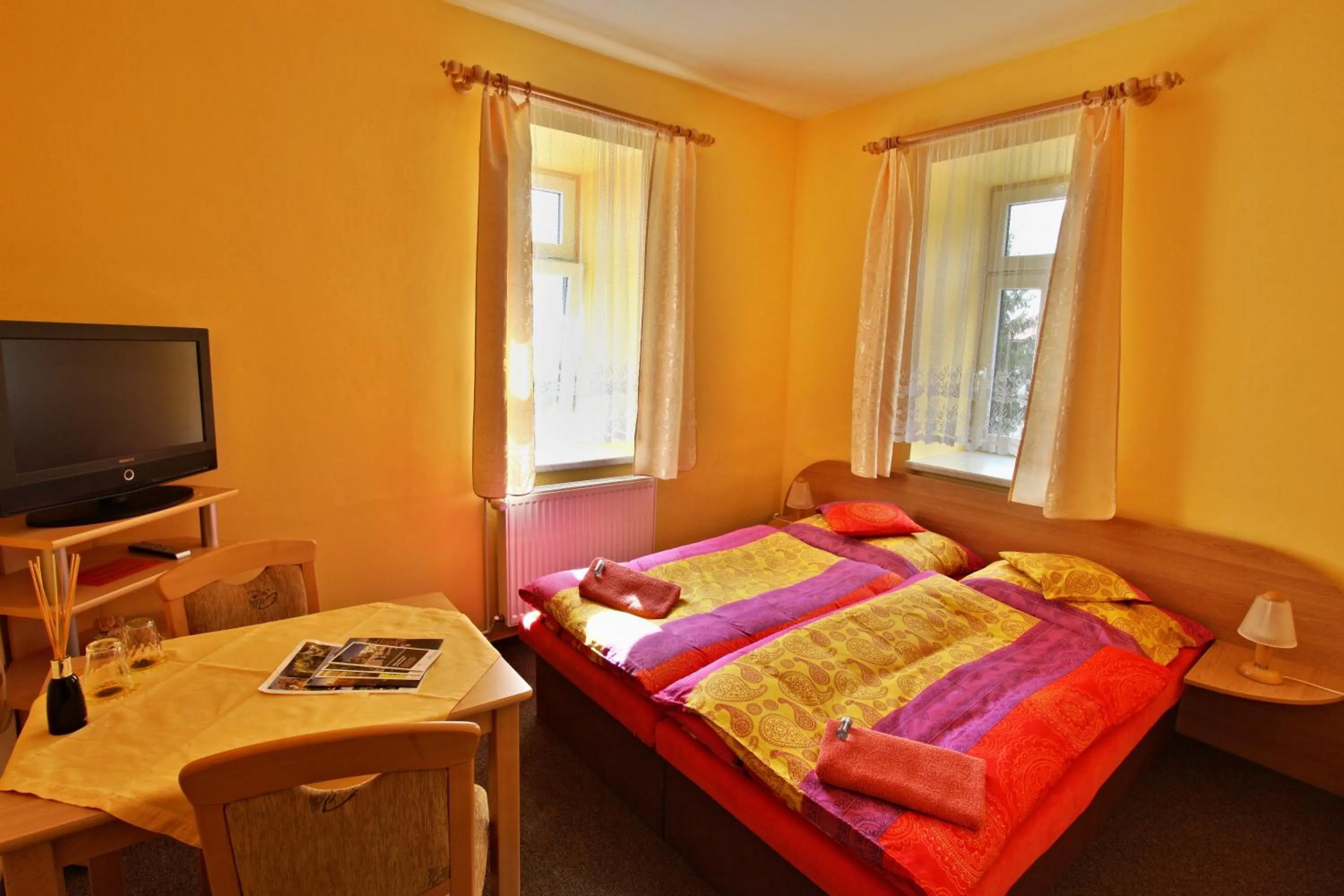 Standard Double Room - single occupancy in Penzion Vyhlídka Janovičky