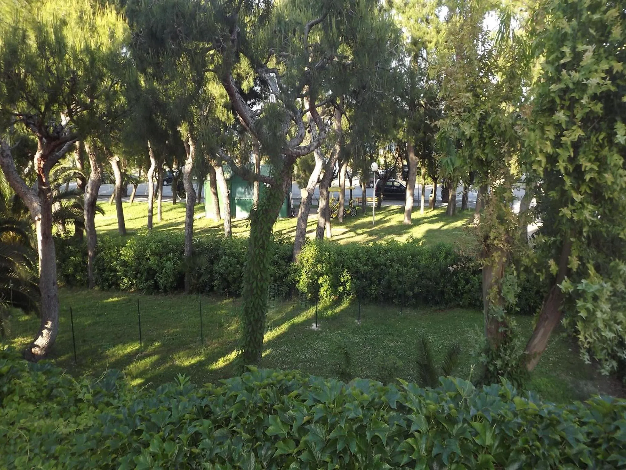 Garden in Hotel Parco