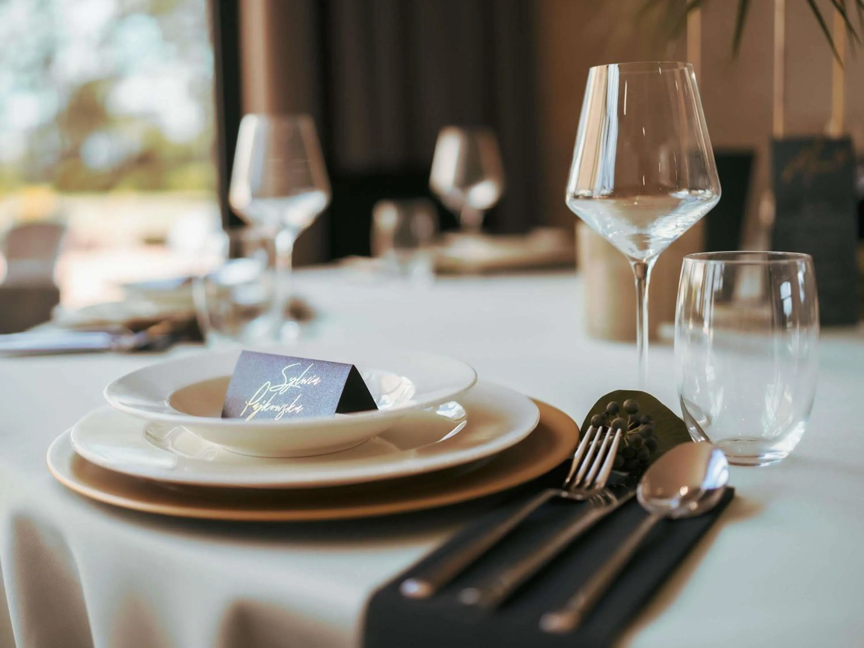 Meeting/conference room in Mercure Cieszyn