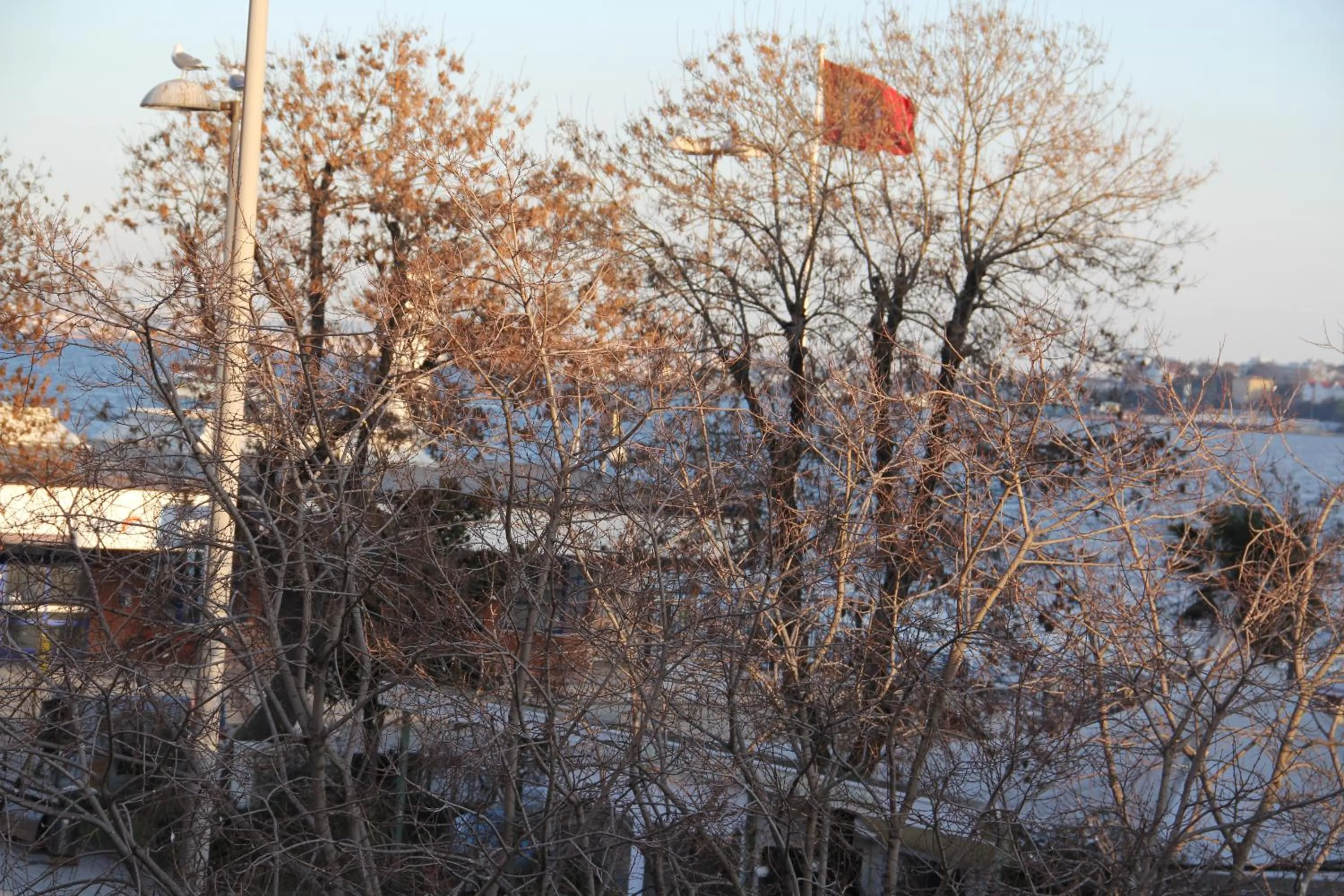 Natural landscape in Ozdemir Pansiyon