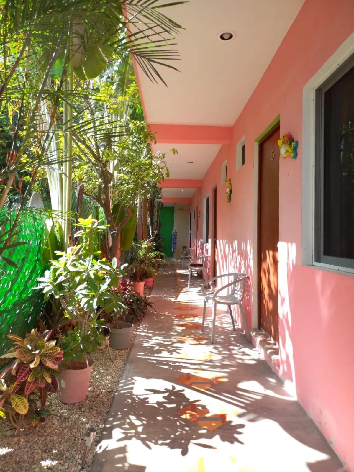 Garden in Casona del Negro Aguilar