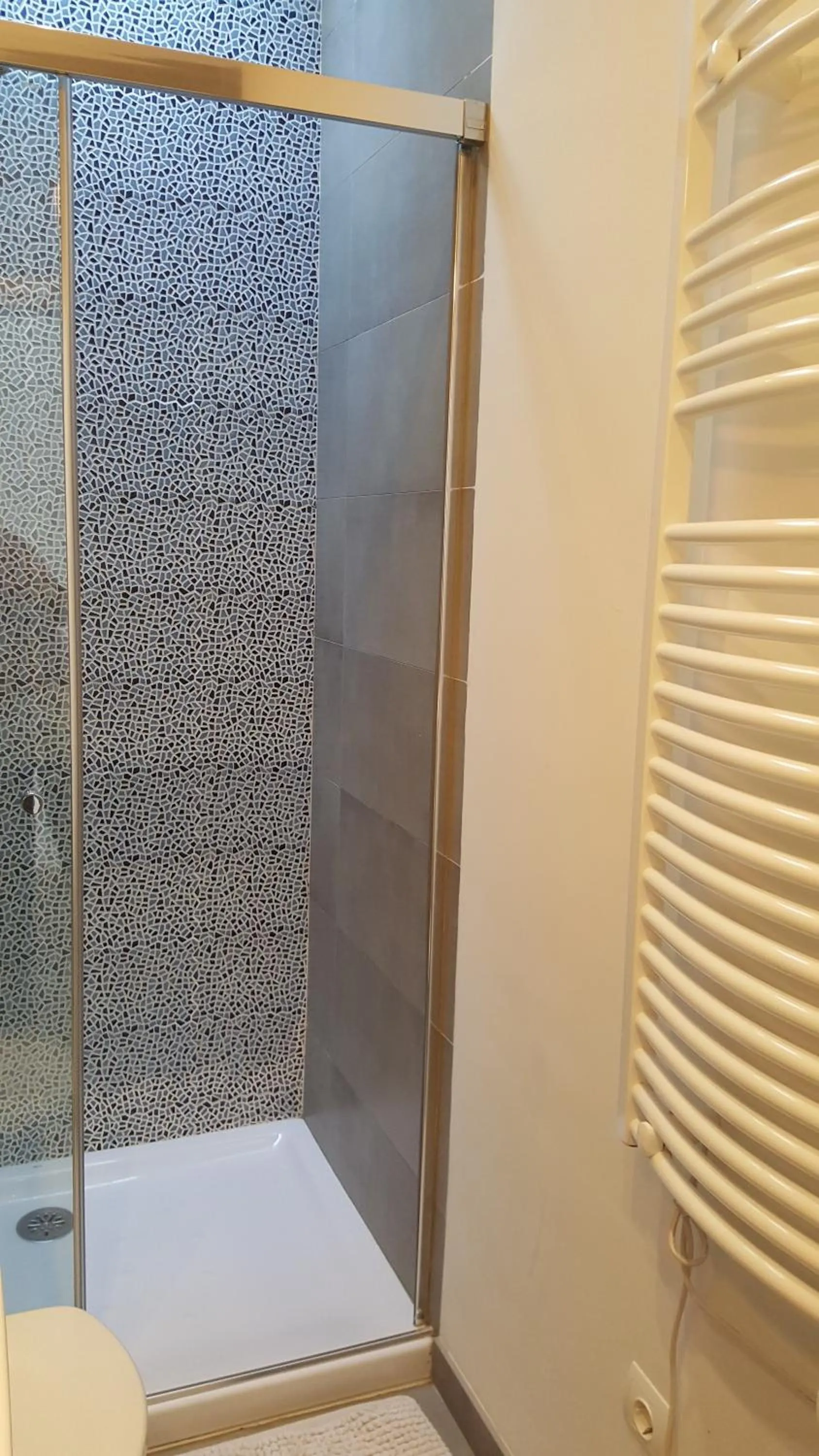 Shower in The Sky Attic Apartment