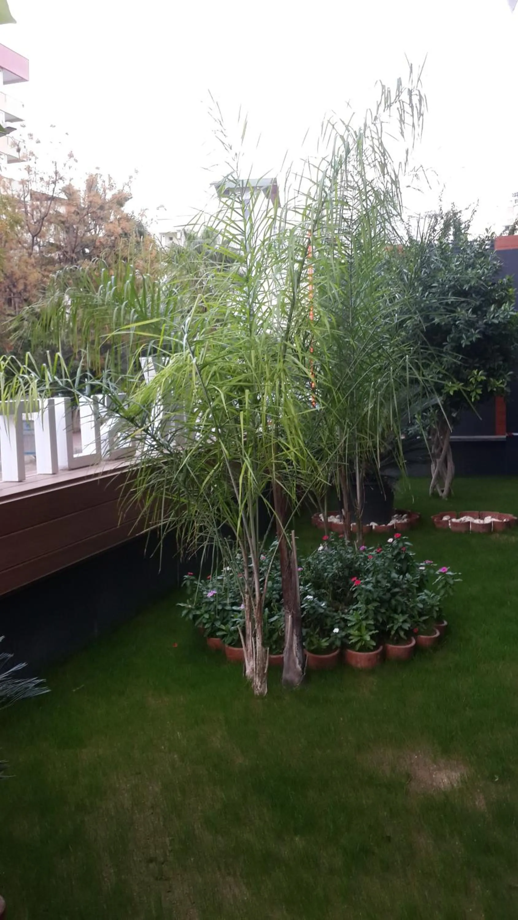 Garden view in BMK APART Otel