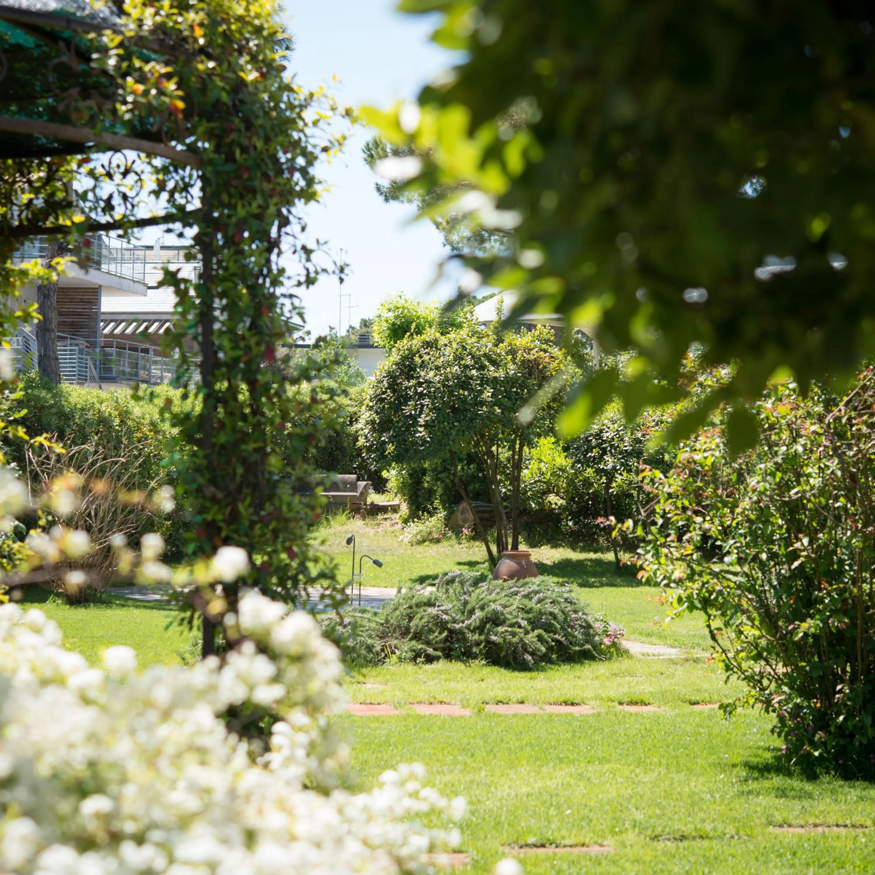 Garden in Villa Arizona