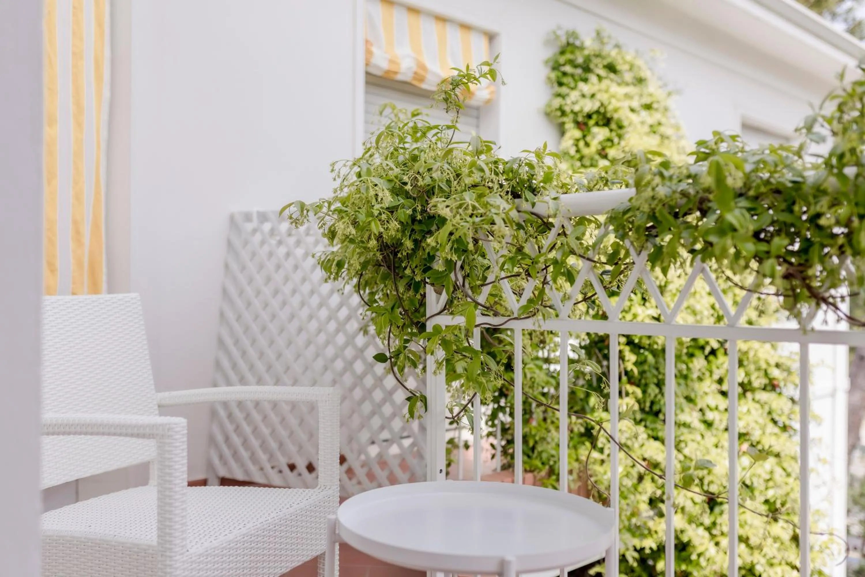 Balcony/Terrace in Villa Arizona