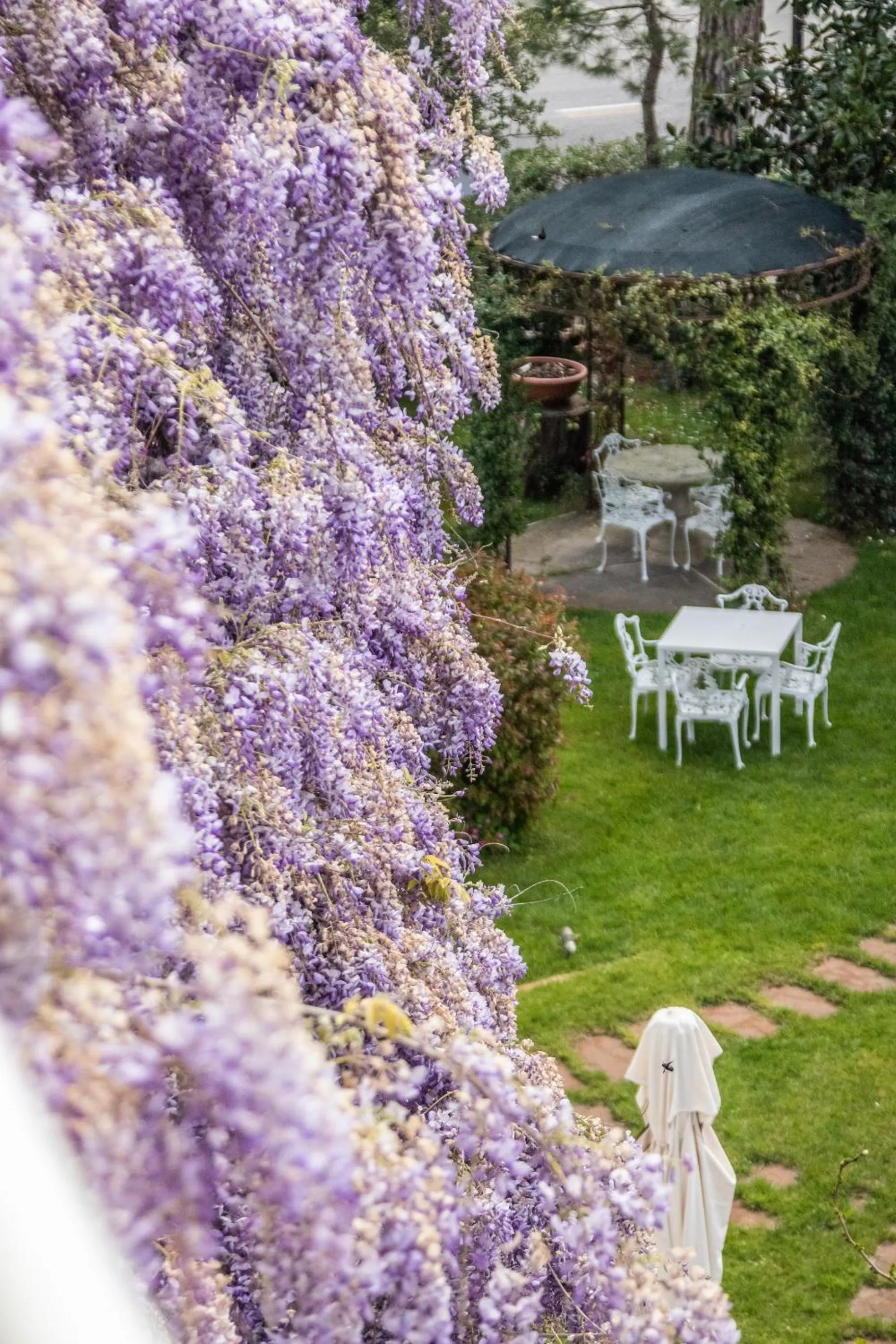 Garden view in Villa Arizona