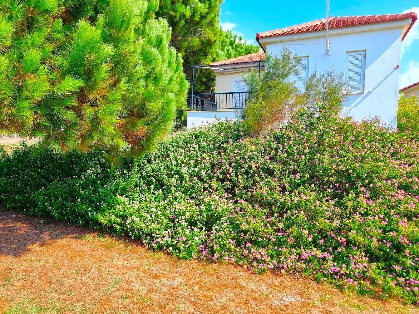 Garden in Romanos Beach Villas